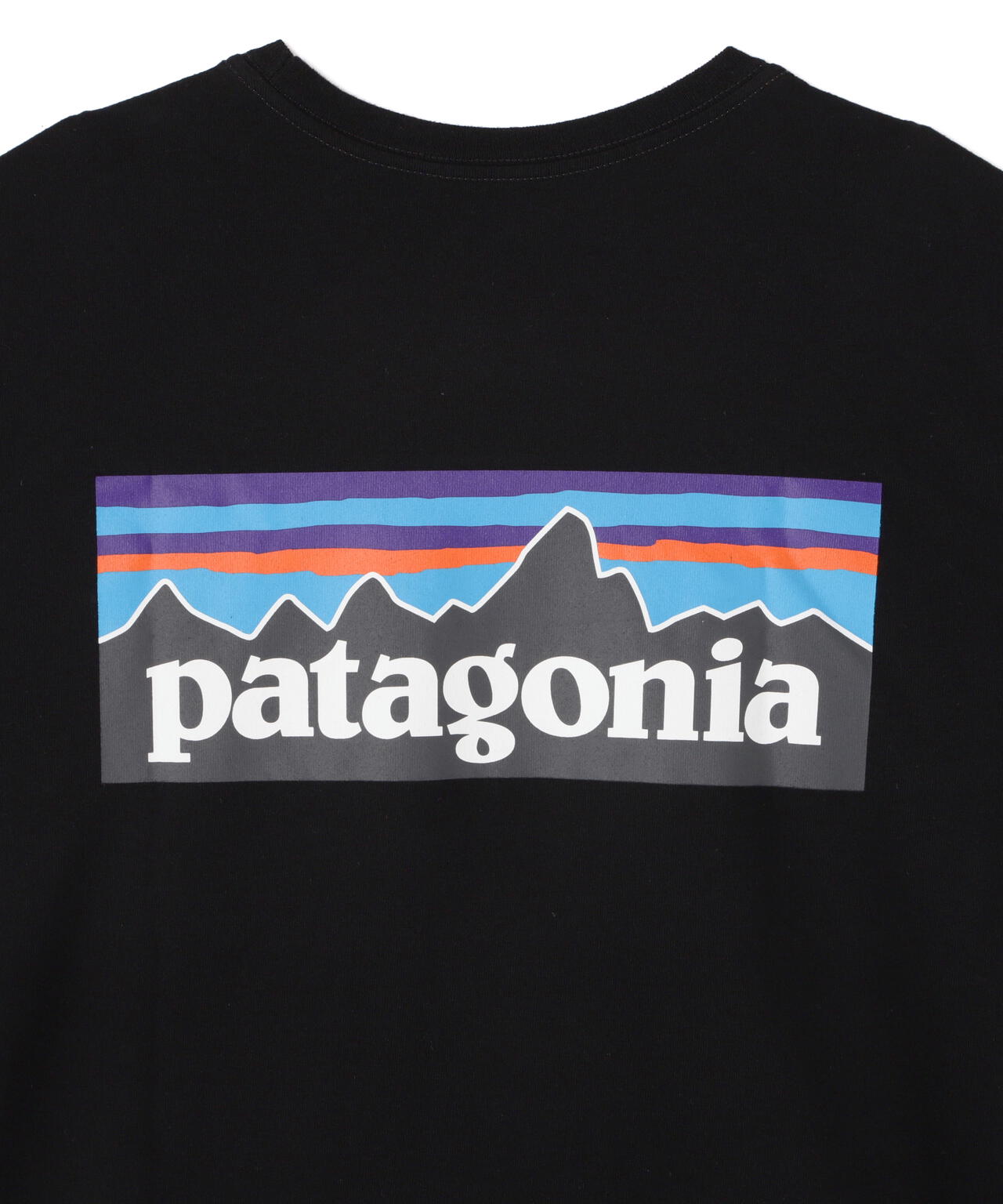 Patagonia/パタゴニア　メンズ・P-6ロゴ・レスポンシビリティー