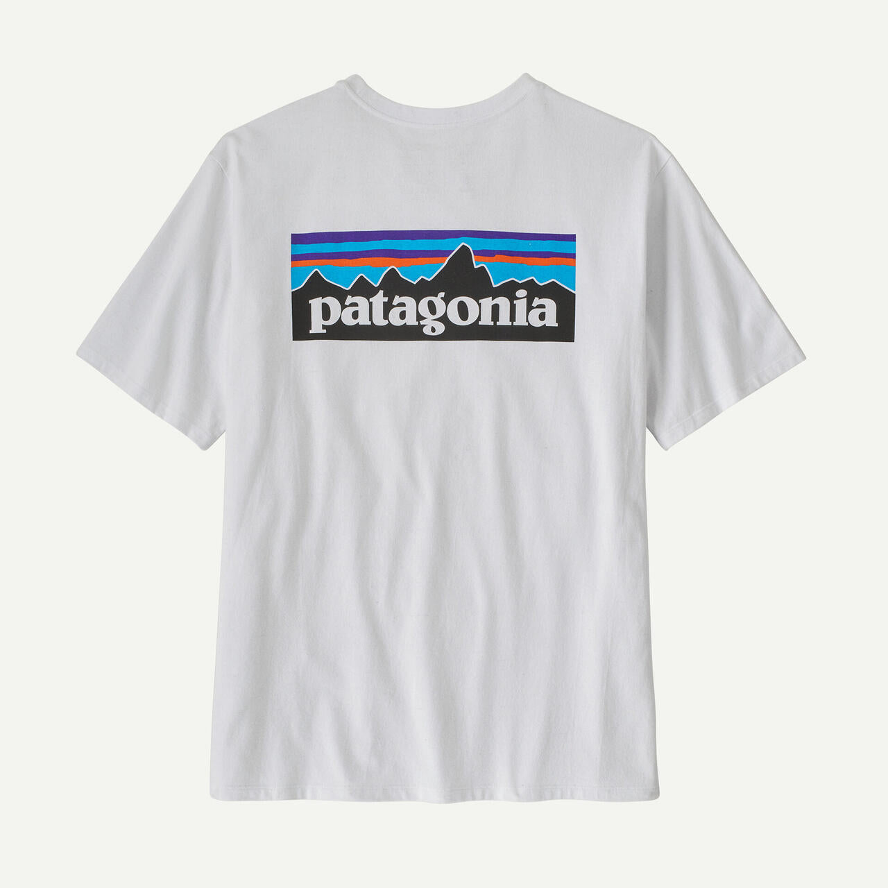 Patagonia/パタゴニア　メンズ・P-6ロゴ・レスポンシビリティー