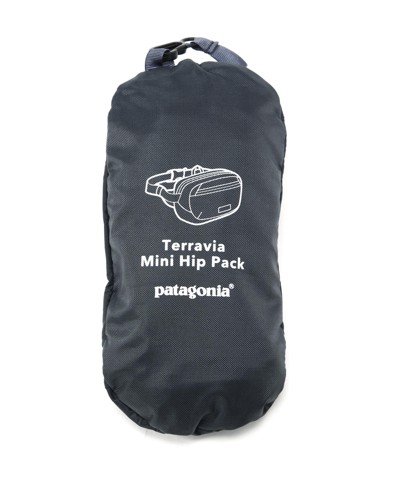 Patagonia/パタゴニア　テラヴィア・ミニ・ヒップ・パック 1L