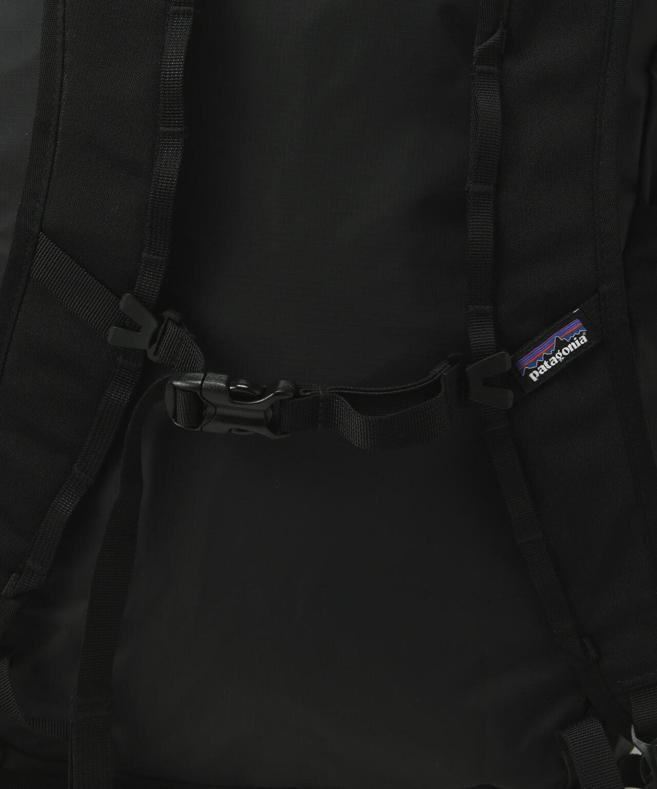 Patagonia/パタゴニア　テラヴィア・トート・パック 24L