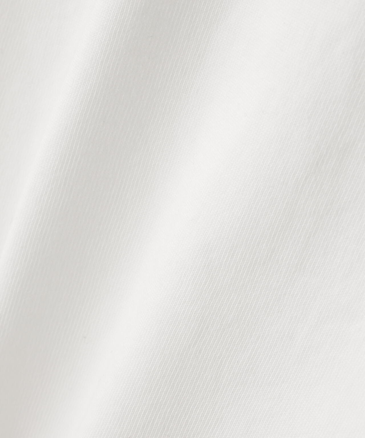 THE NORTH FACE/ザ・ノース・フェイス　GAR Typographic White S/S Tee NT32666
