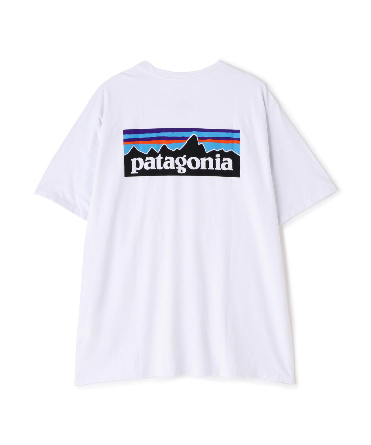 Patagonia/パタゴニア　メンズ・P-6ロゴ・レスポンシビリティー 38504