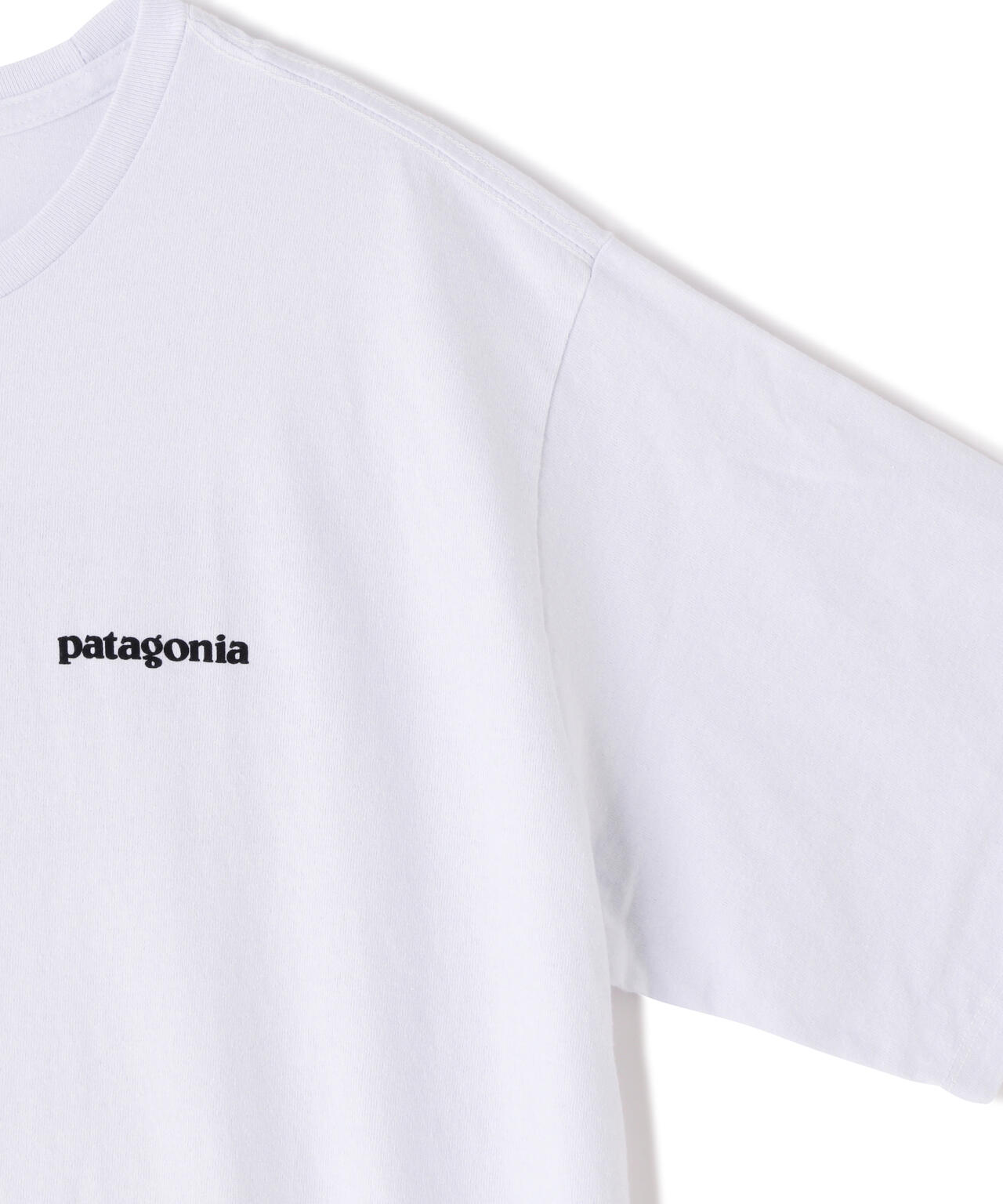Patagonia/パタゴニア　メンズ・P-6ロゴ・レスポンシビリティー 38504