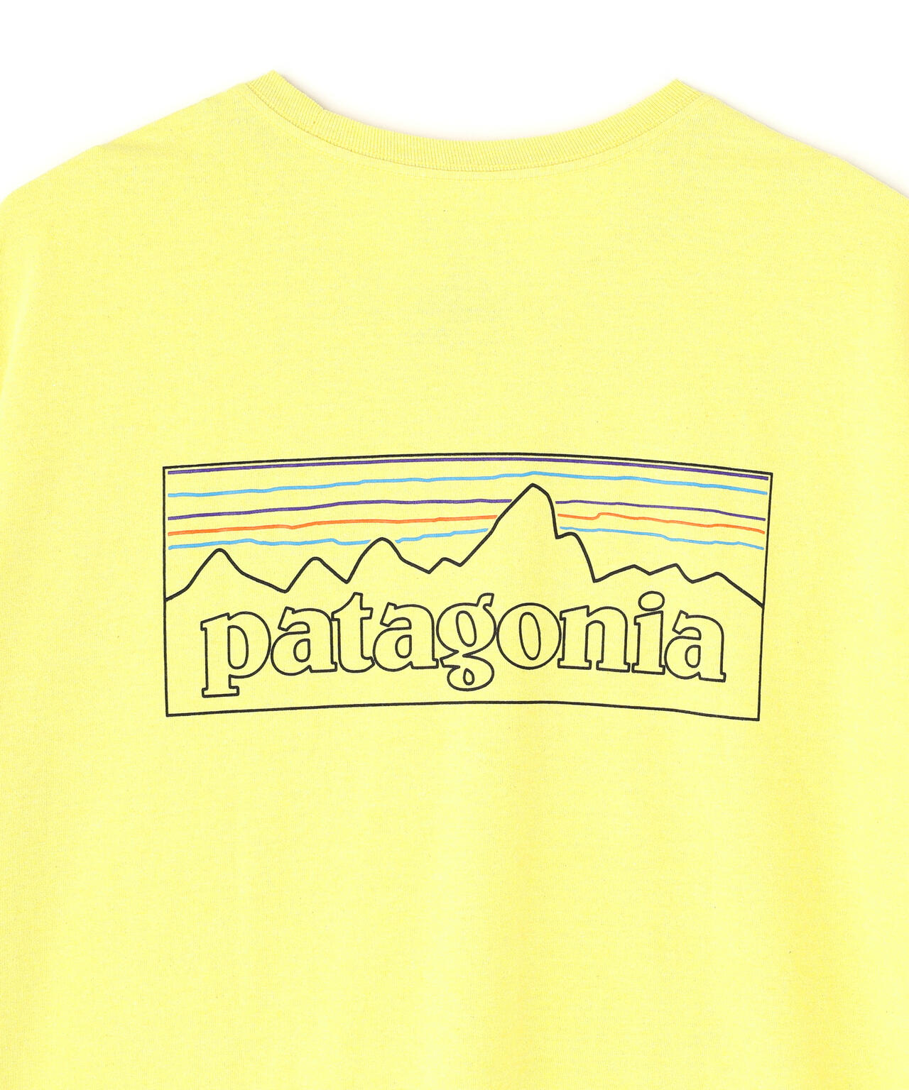 Patagonia/パタゴニア　メンズ・P-6ロゴ・レスポンシビリティー 38504