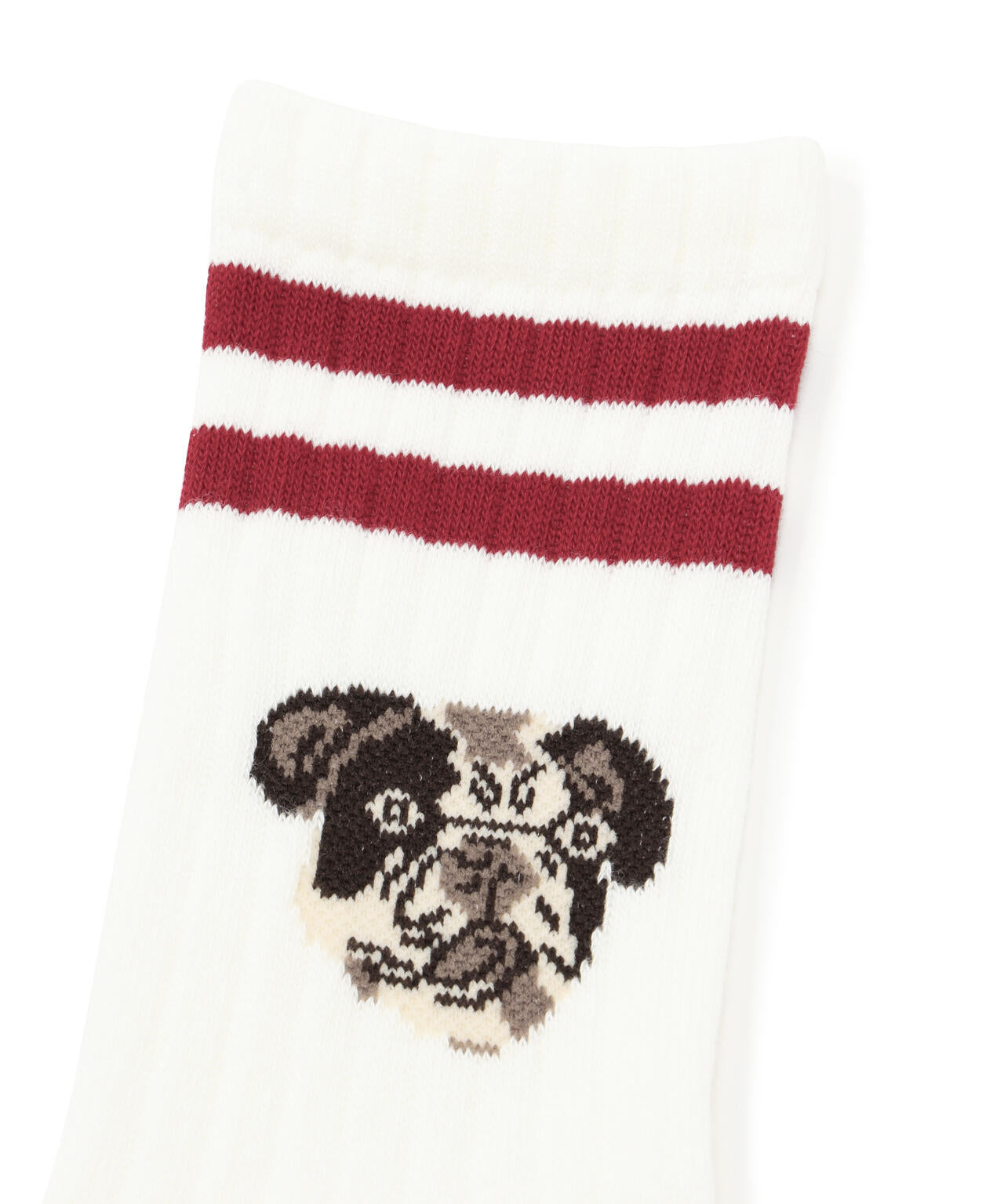 ROSTER SOX/ロスターソックス  DOG SOCKS