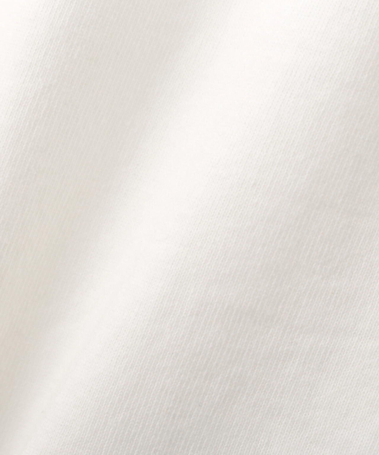 NATIVE RIB SS T-SHIRT/ネイティブリブ Tシャツ