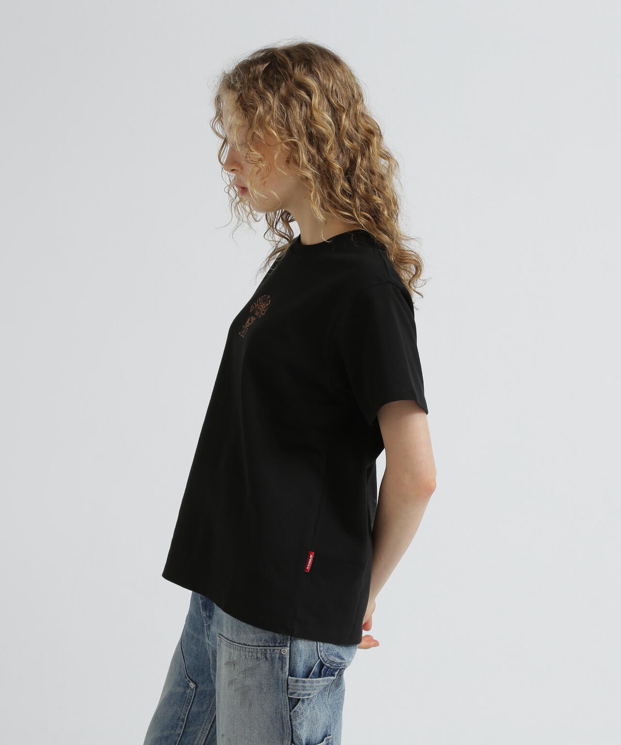 《WEB&DEPOT限定》ONE POINT EMB T-SHIRT"VARSITY LOGO" / ワンポイントロゴ 刺繍 半袖Tシャツ