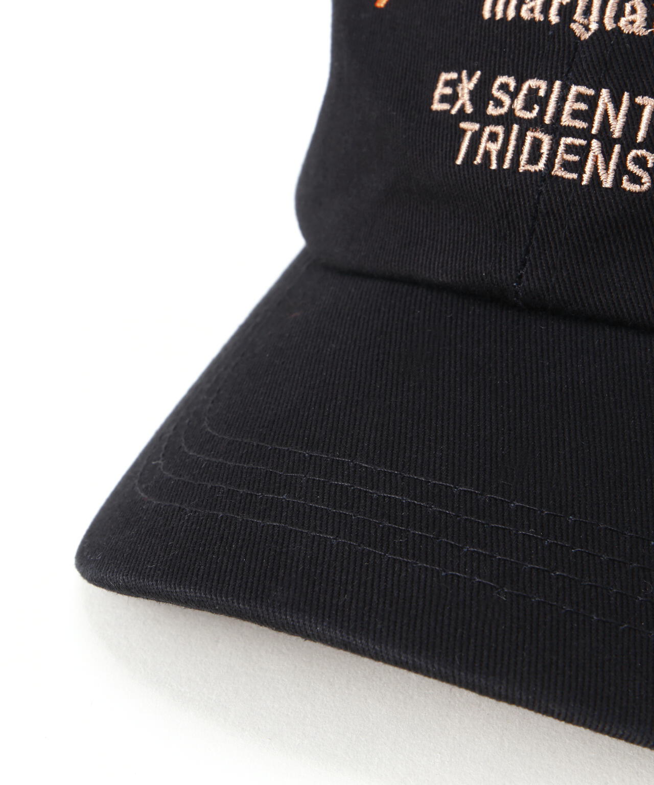 US NAVY LOGO CAP / ロゴ キャップ / AVIREX / アヴィレックス
