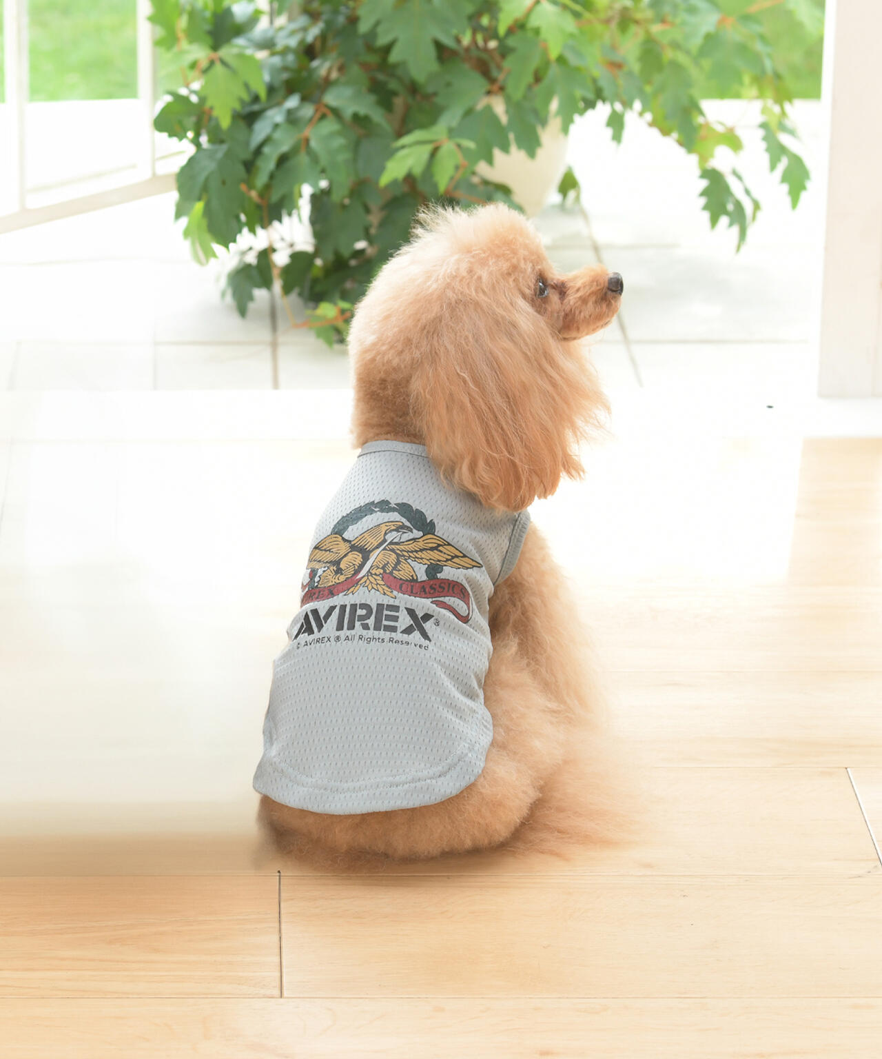 《DOG WEAR》イーグルタンク