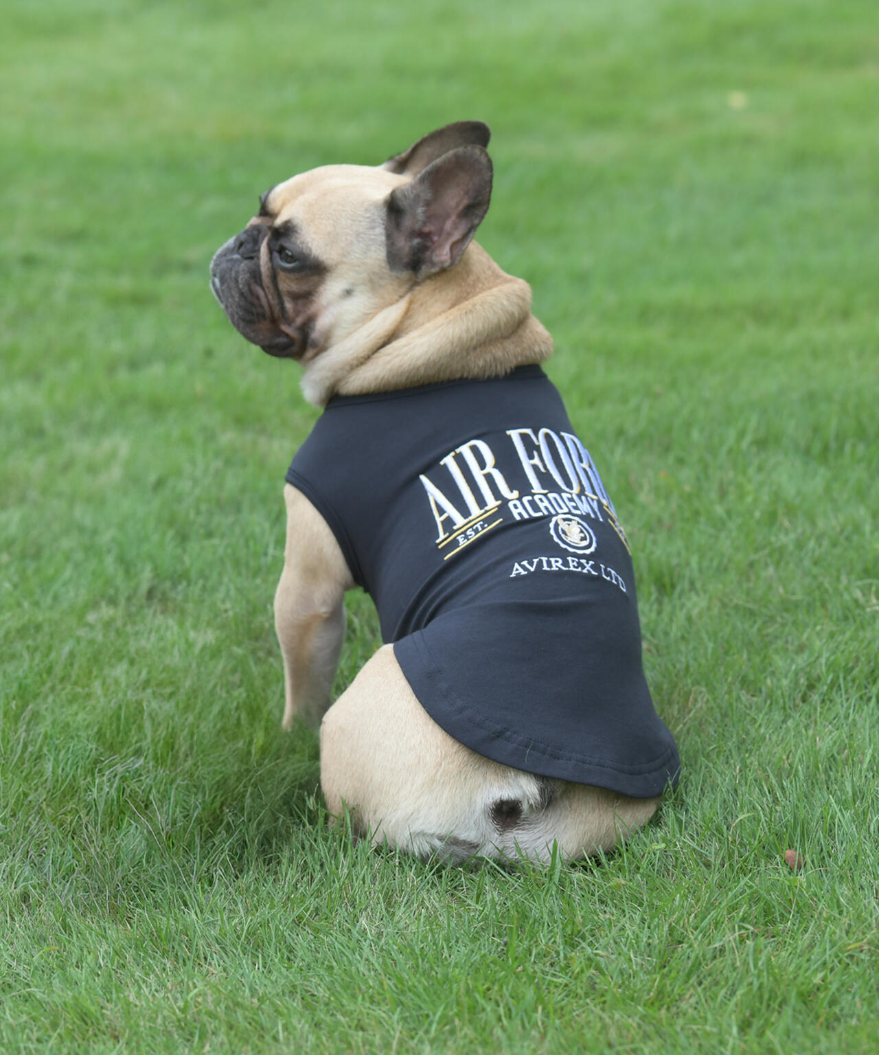 《DOG WEAR》USAFA EMB タンク フレンチブルドック用