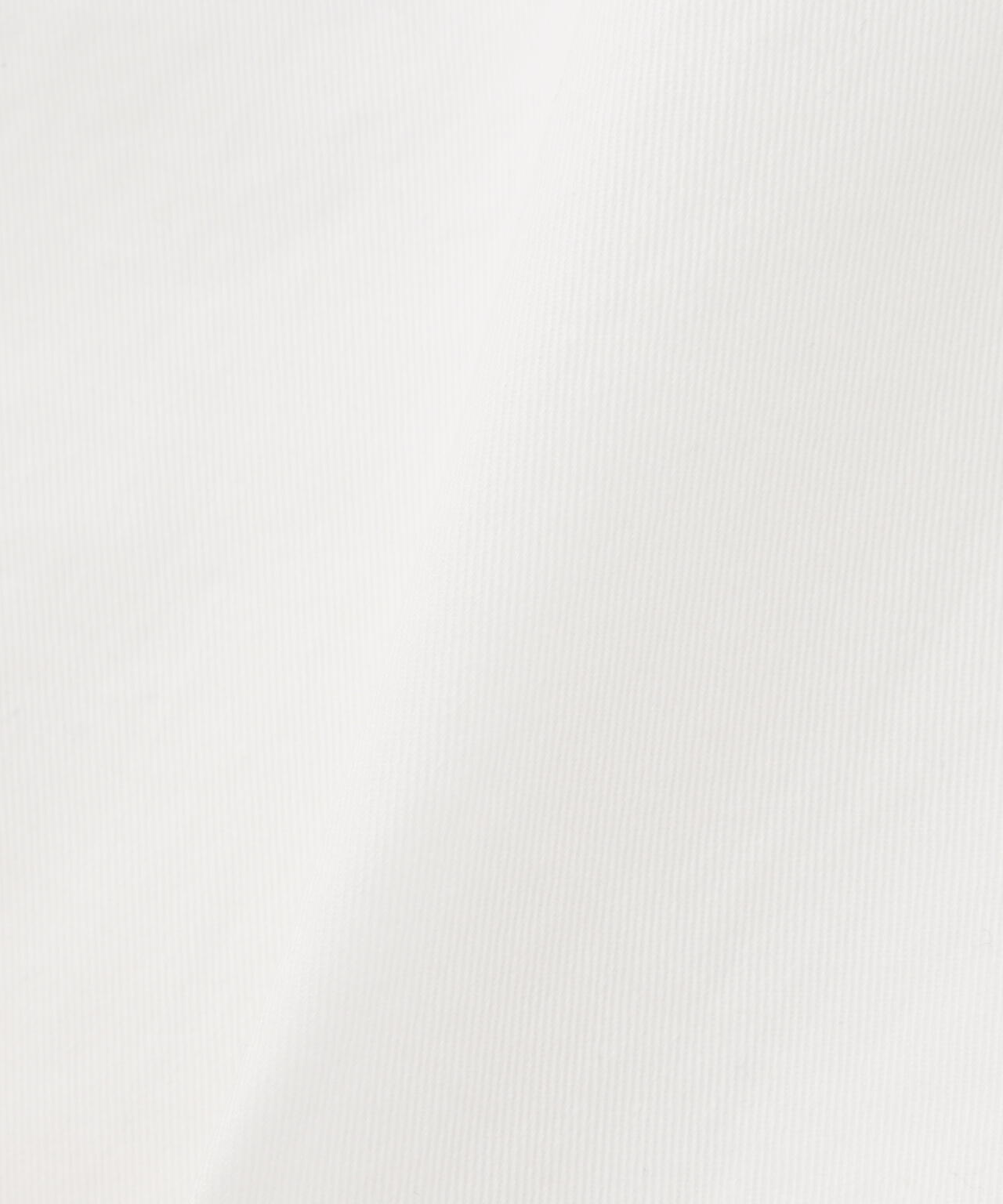 BASIC FATIGUE SHORT SLEEVE SHIRT / ベーシック ファティーグ 半袖シャツ / AVIREX / アヴィレッ