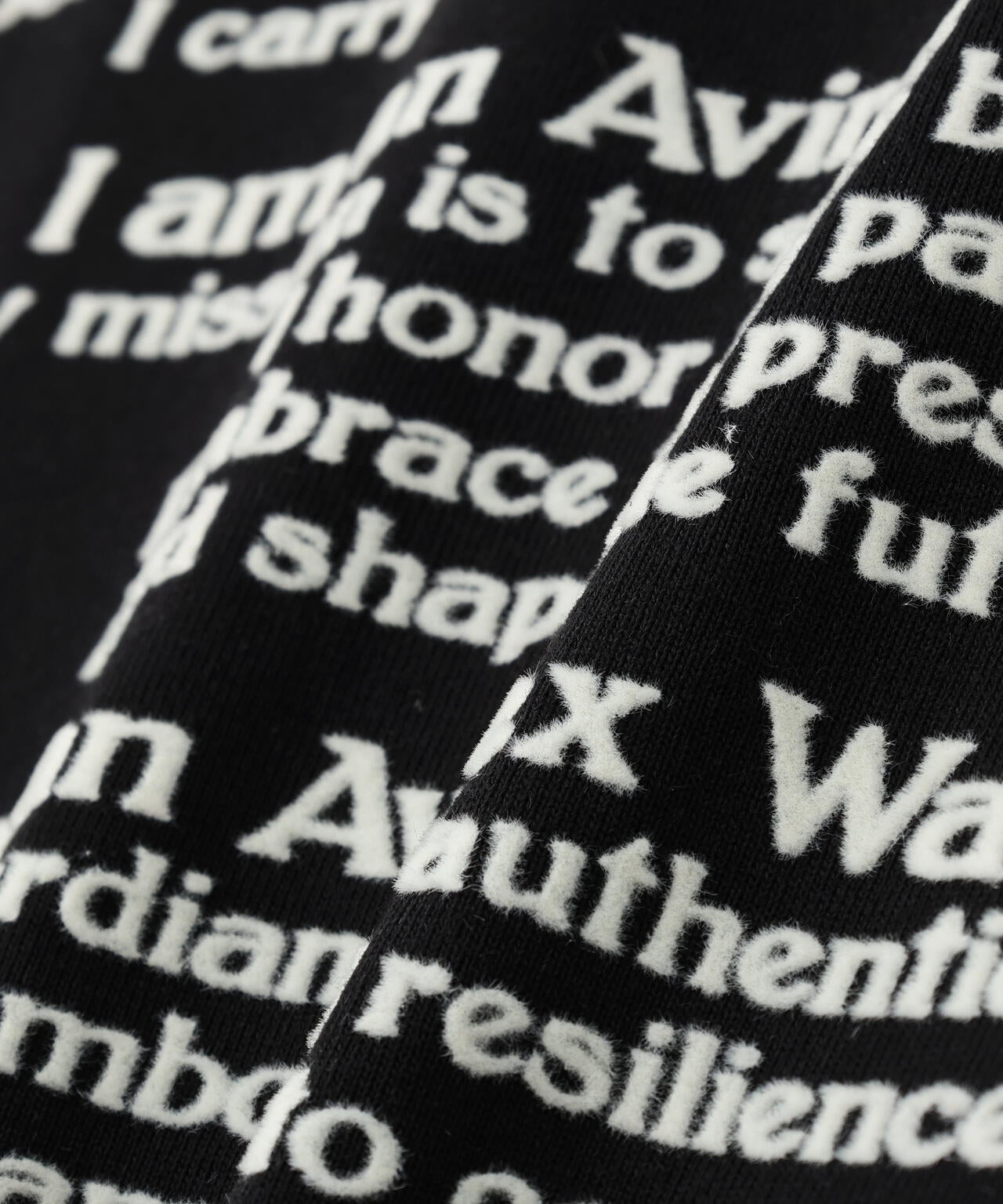 PRINT T-SHIRT ”Avirex Creed”