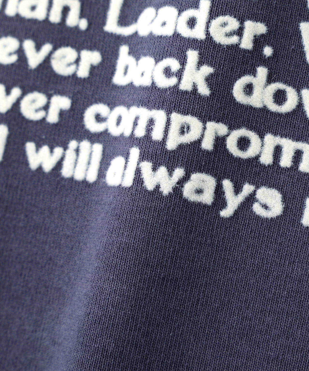 PRINT T-SHIRT ”Avirex Creed”