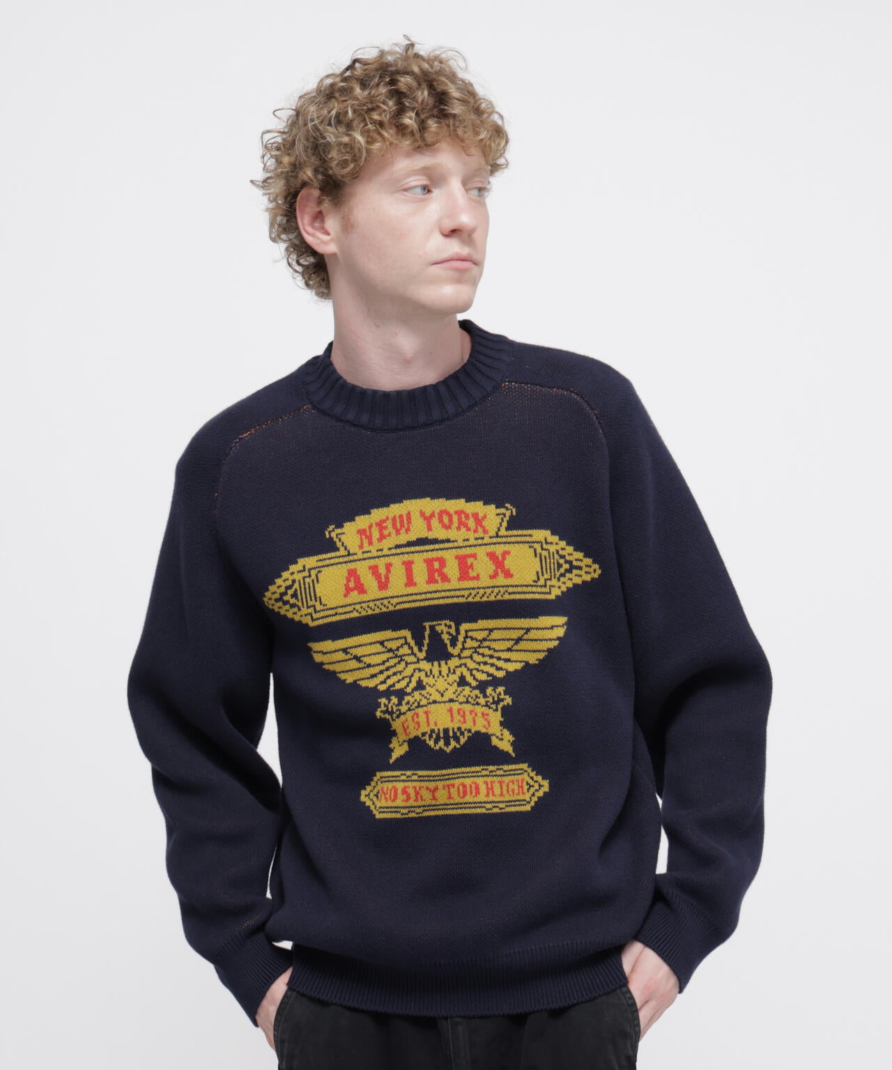 《直営店限定》FREEDOM SLEEVE COTTON KNIT ”EAGLES”