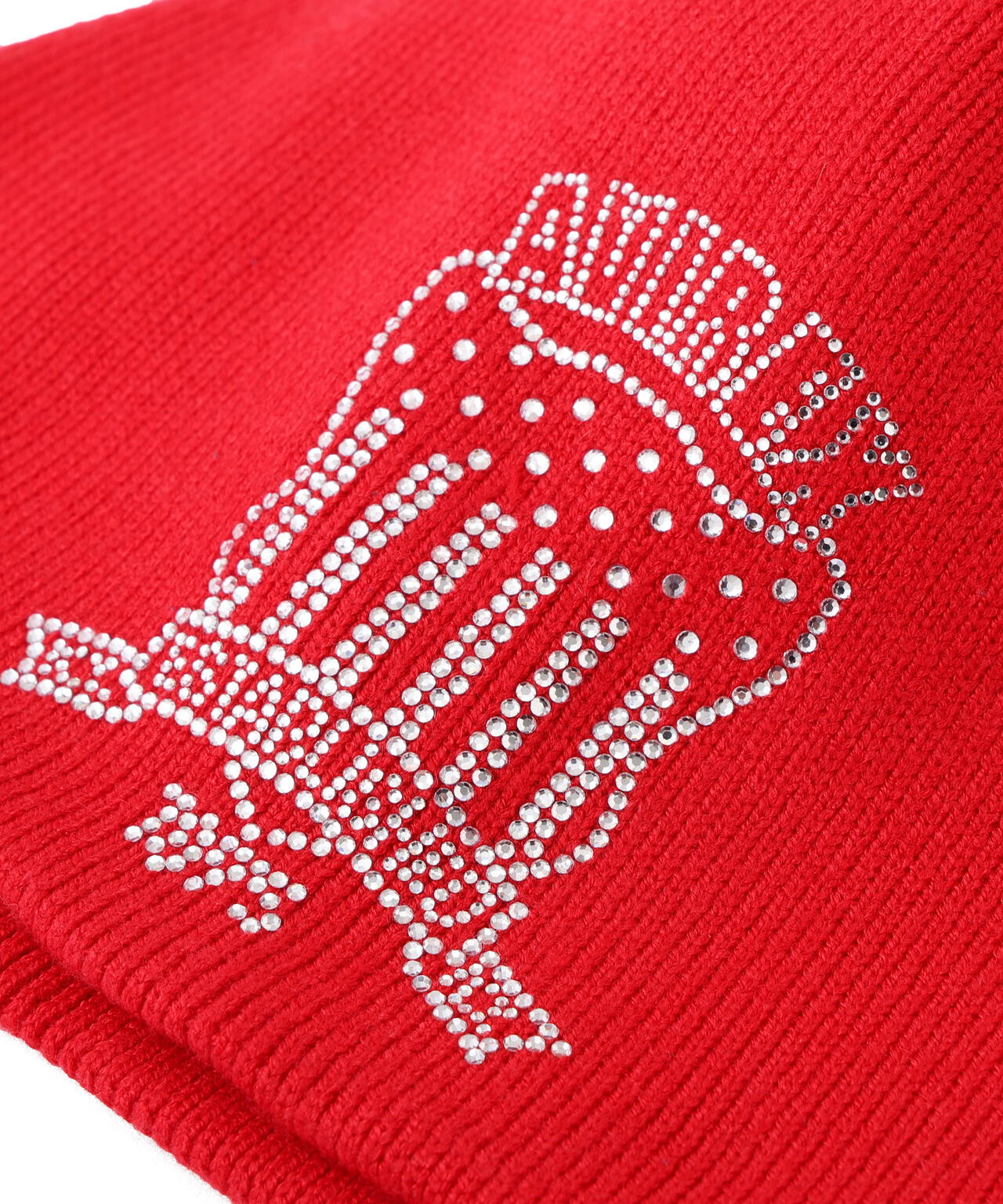 《WOMAN/直営店限定》RHINESTONE VARSITY LOGO BEANIE