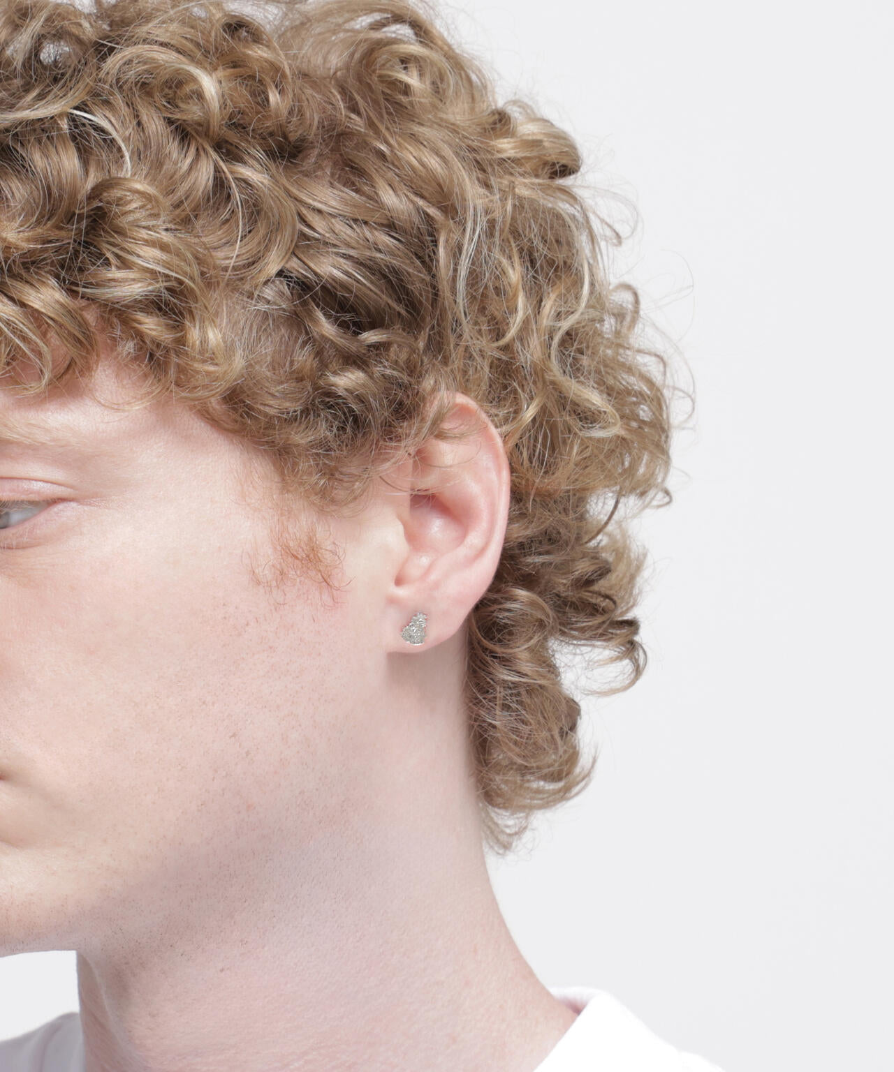 《AVIREX by J.H.M CO.，LTD.》VARSITY ARCHIVES CROWN & LION PIERCE