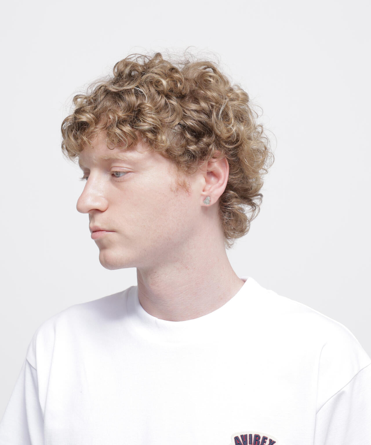 《AVIREX by J.H.M CO.，LTD.》VARSITY ARCHIVES CROWN & LION PIERCE