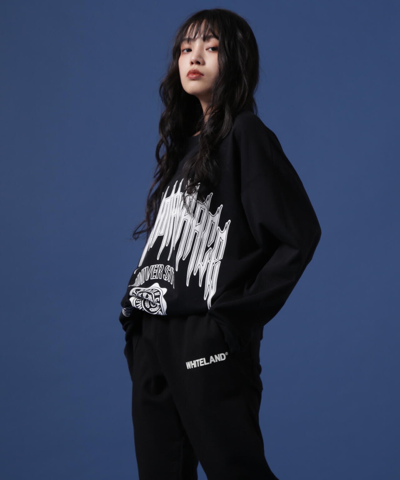 【WEB&DEPOT限定】DankeSchon/ダンケシェーン/DS LST/ロゴロングスリーブT
