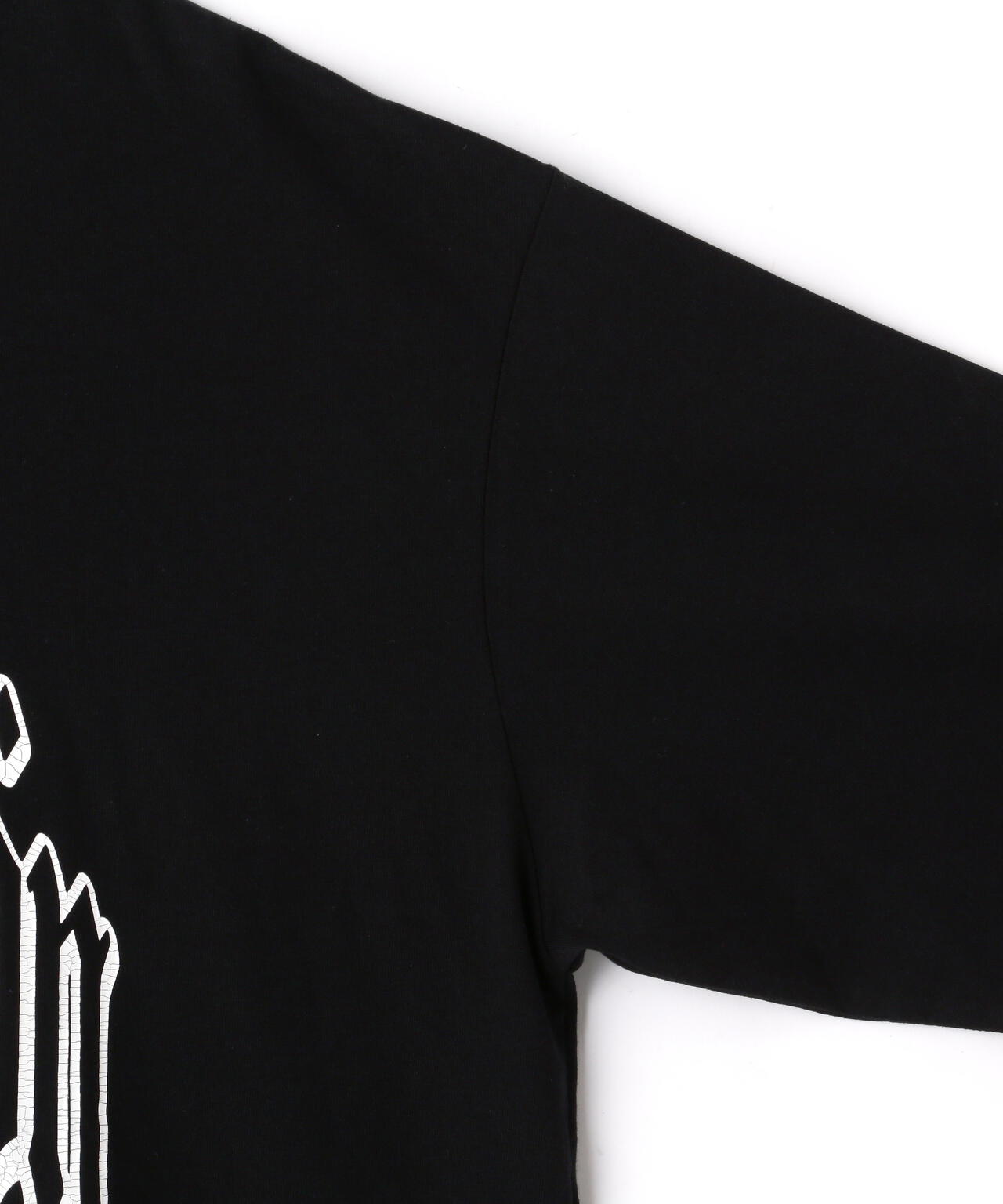 【WEB&DEPOT限定】DankeSchon/ダンケシェーン/DS LST/ロゴロングスリーブT