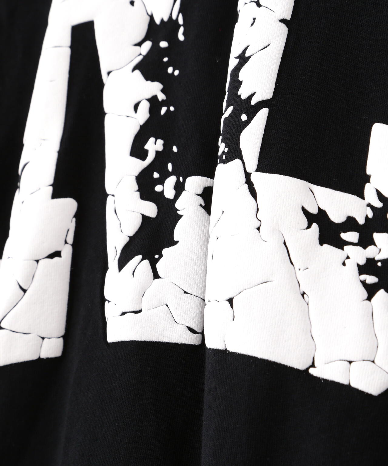 【WEB&DEPOT限定】DankeSchon/ダンケシェーン/ARCV LOGO LST/ロンT
