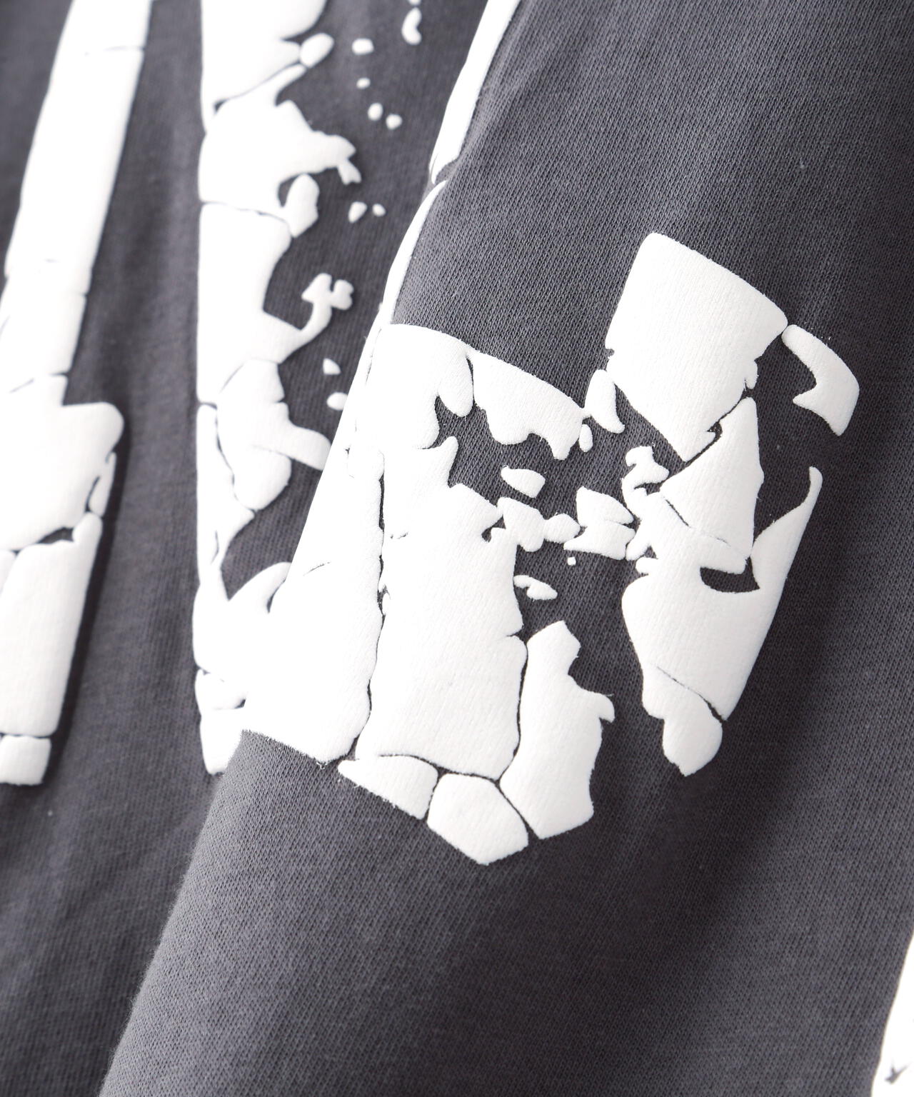 【WEB&DEPOT限定】DankeSchon/ダンケシェーン/ARCV LOGO LST/ロンT