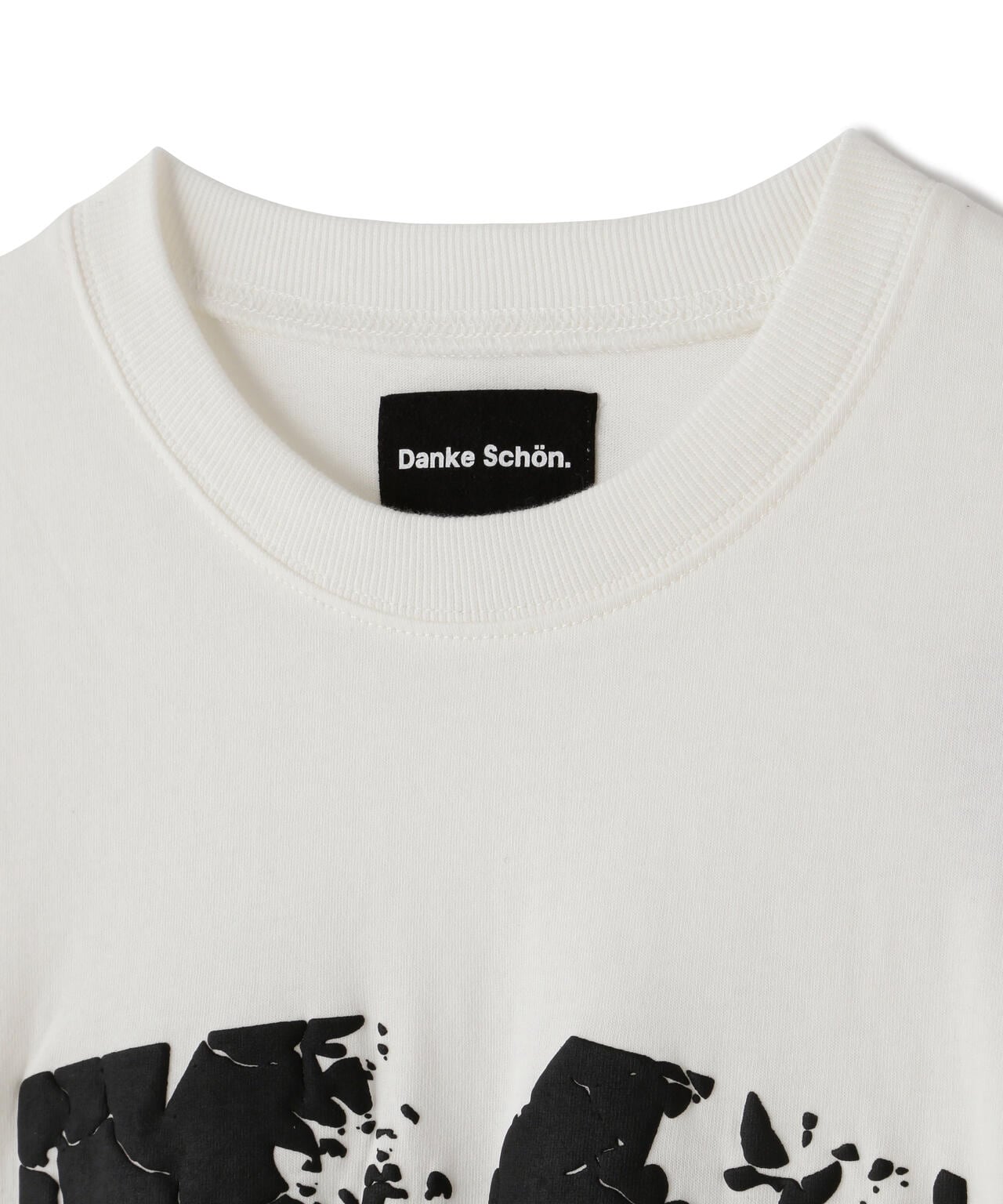 【WEB&DEPOT限定】DankeSchon/ダンケシェーン/ARCV LOGO LST/ロンT