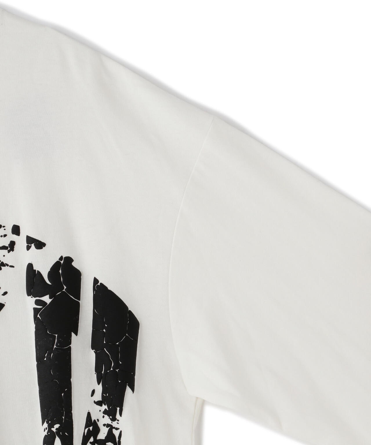 【WEB&DEPOT限定】DankeSchon/ダンケシェーン/ARCV LOGO LST/ロンT