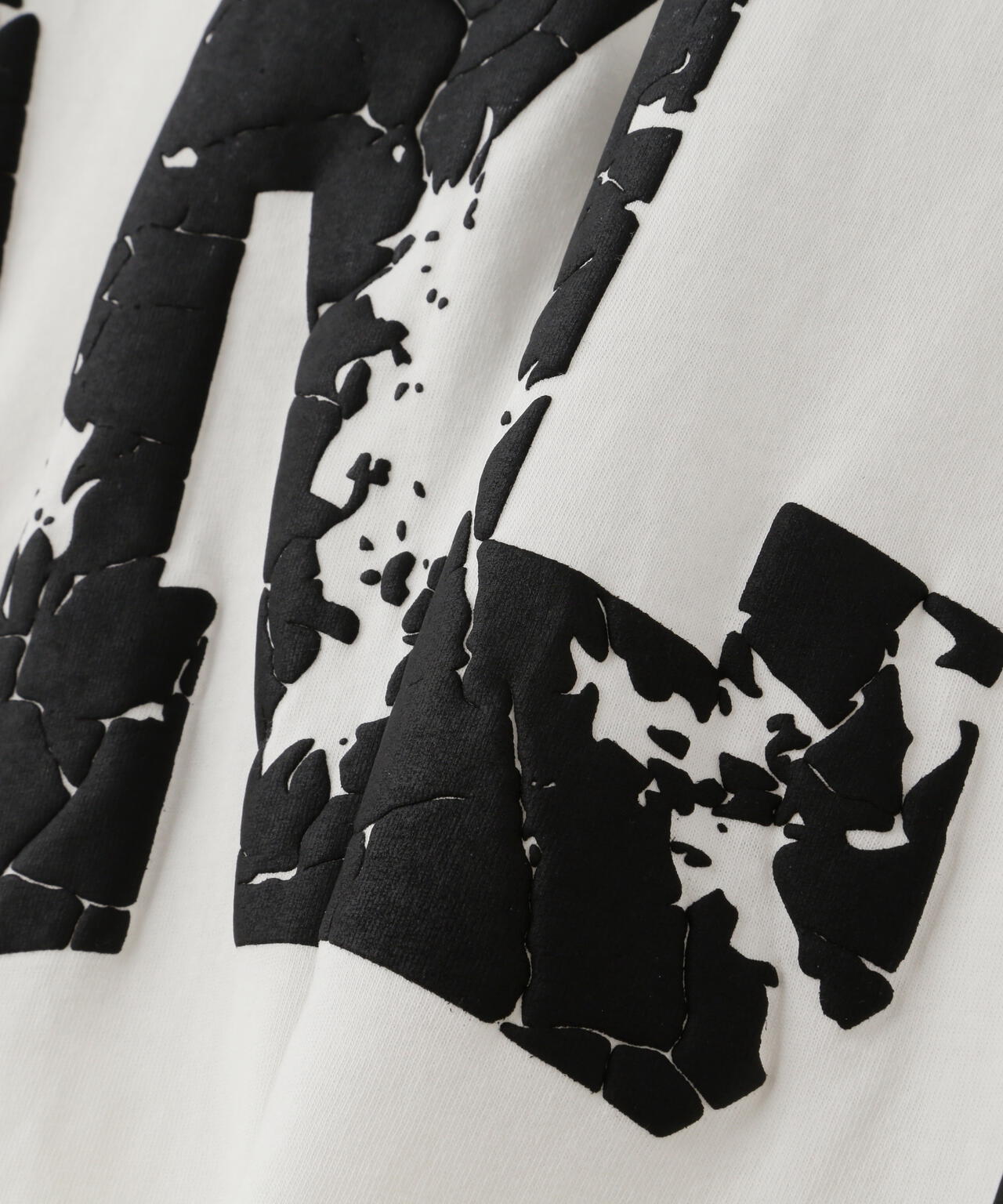 【WEB&DEPOT限定】DankeSchon/ダンケシェーン/ARCV LOGO LST/ロンT