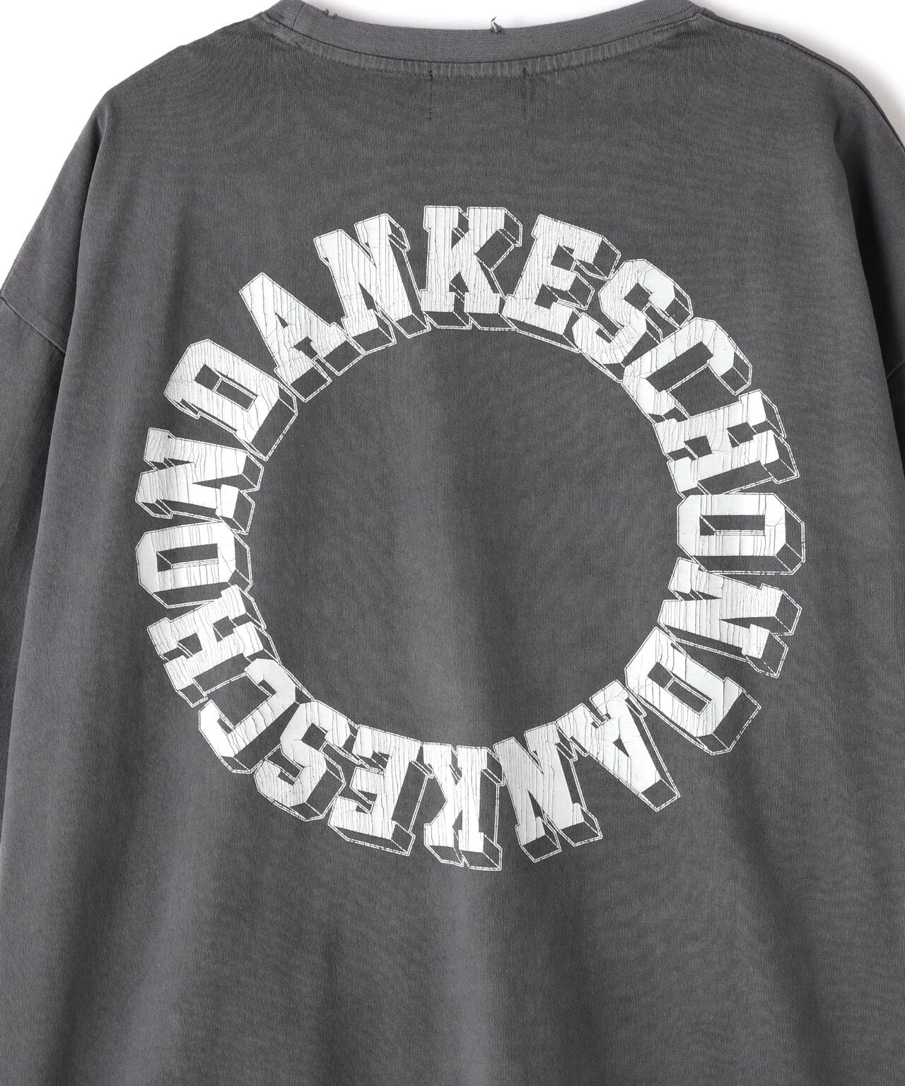 【WEB&DEPOT限定】DankeSchon/活性染CIRCLE S/S Tee