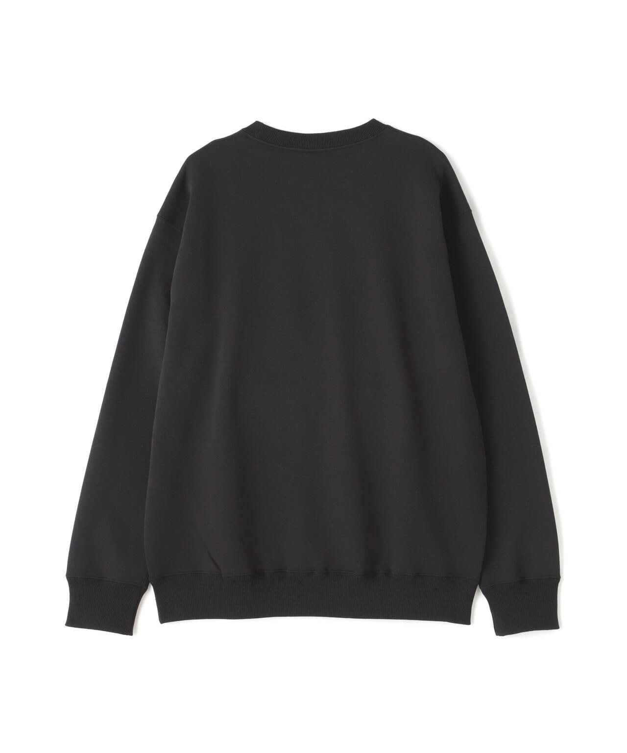 THE NORTH FACE/ザ・ノース・フェイス/SMALL LOGO HEATHER SWEAT CREW