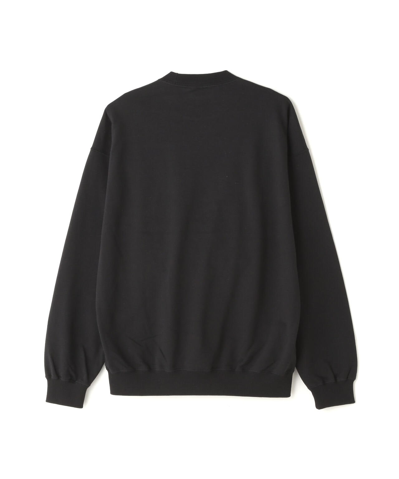 THE NORTH FACE/ザ・ノース・フェイス/Jacquard Half Dome Crew