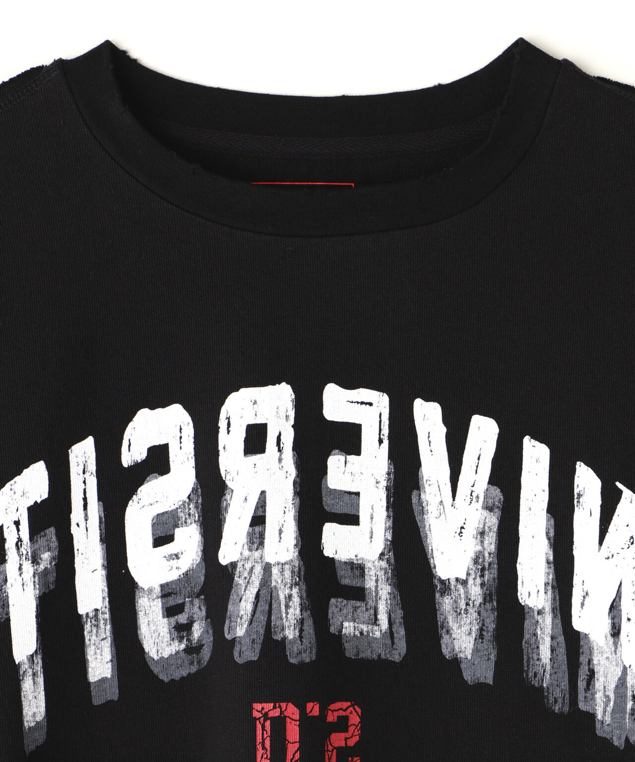 DankeSchon/ダンケシェーン/SWITCH L/S TEE UNIVERSITY