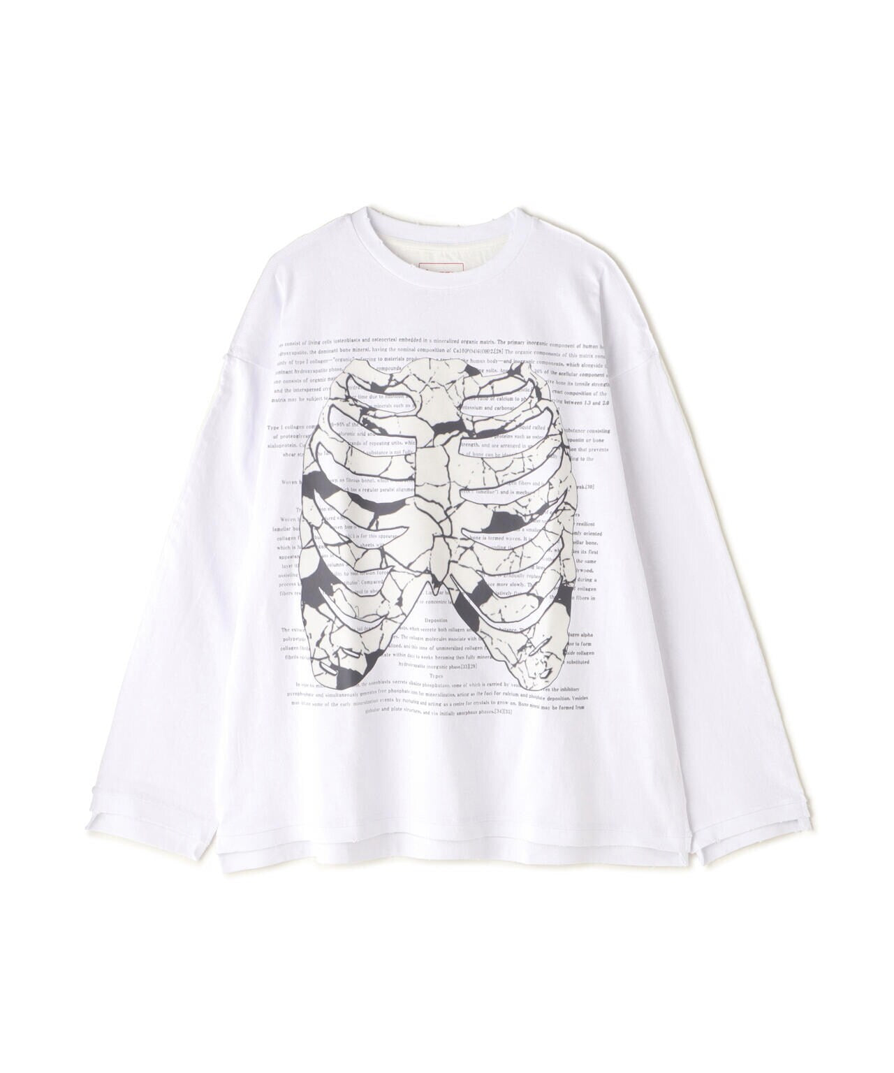 DankeSchon/ダンケシェーン/SWITCH L/S TEE BORN