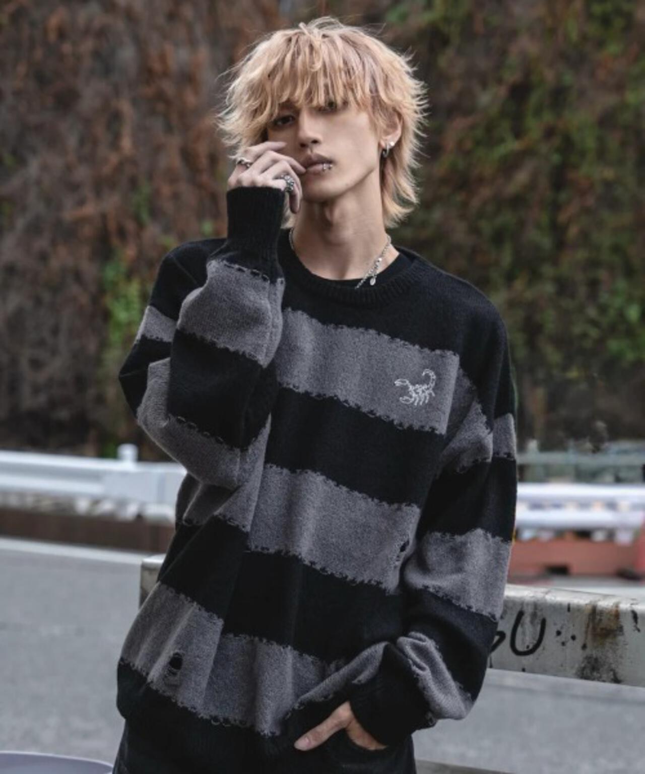gibous/ギボス/scorpion border knit