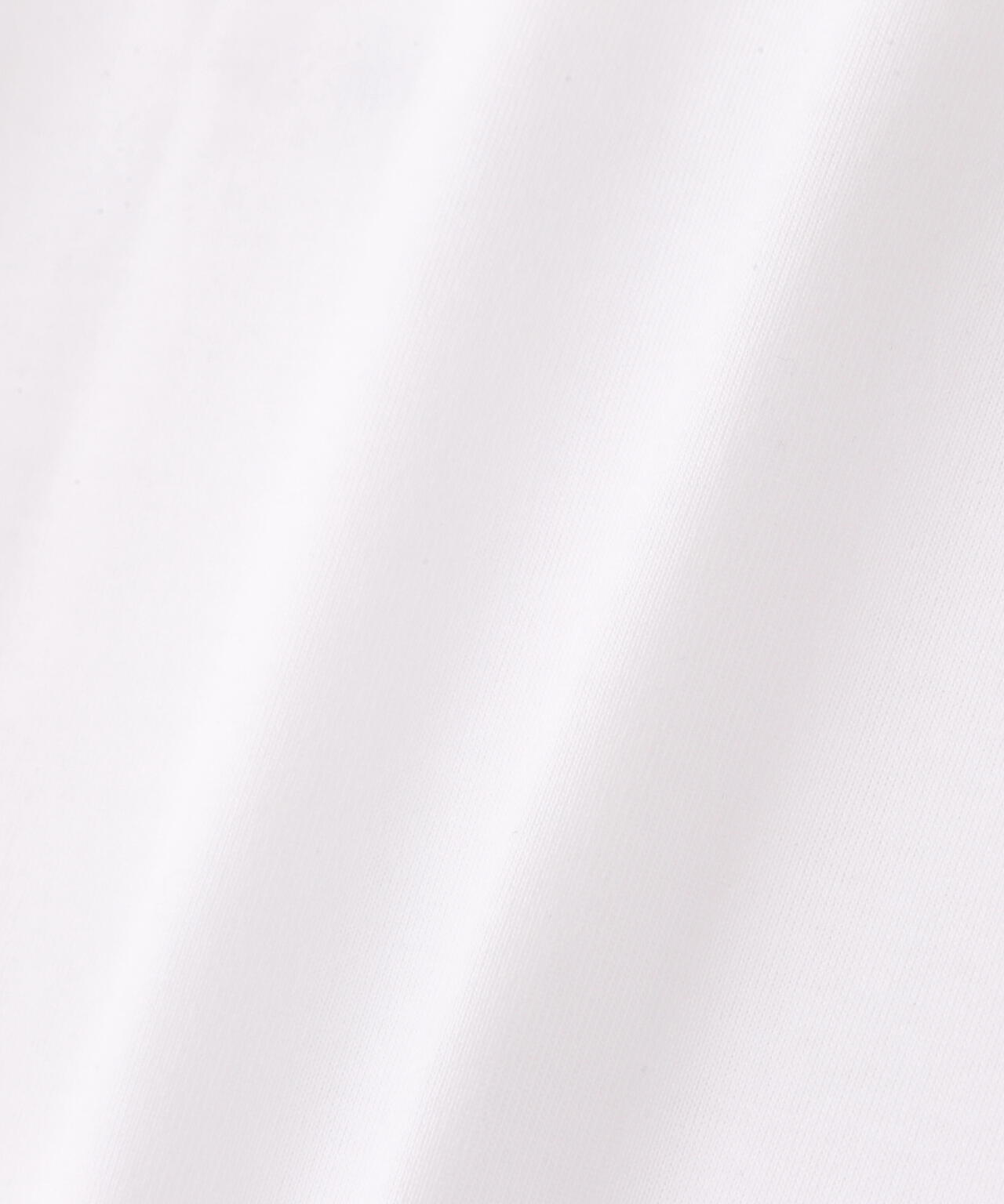 THE NORTH FACE/ザ・ノース・フェイス/S/S Small Box Logo Tee
