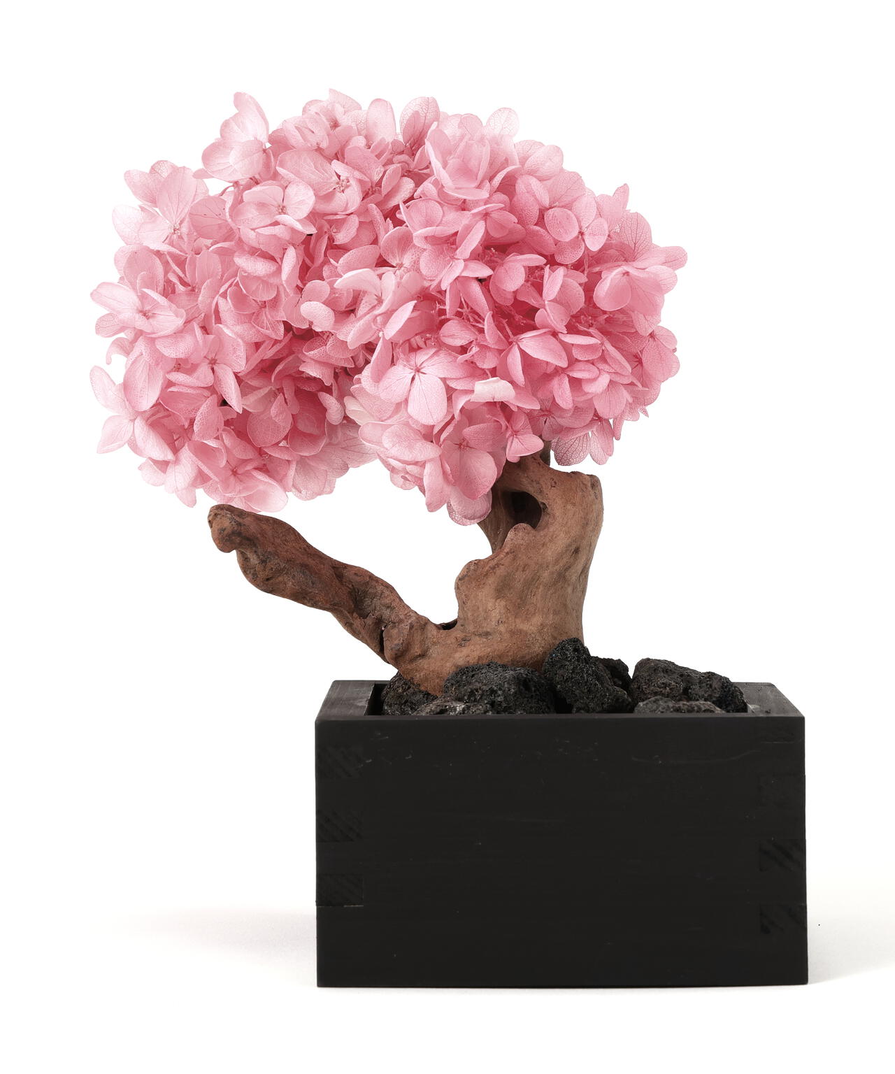JAKOU/寂香/BONSAI Diffuser