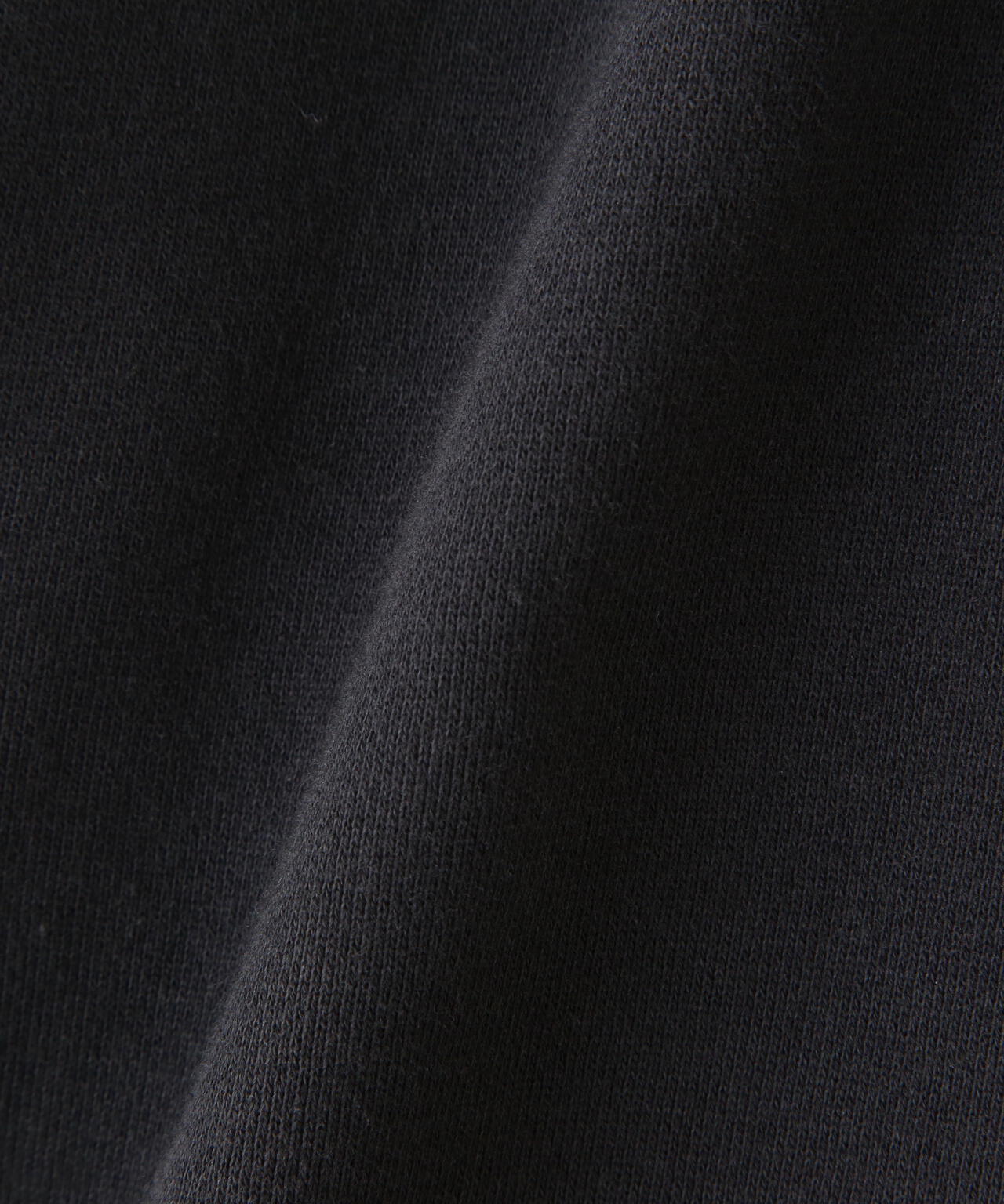 THE NORTH FACE (ザ・ノースフェイス）Reaview FullZio Hoodie　リアビューフルジップフーディ