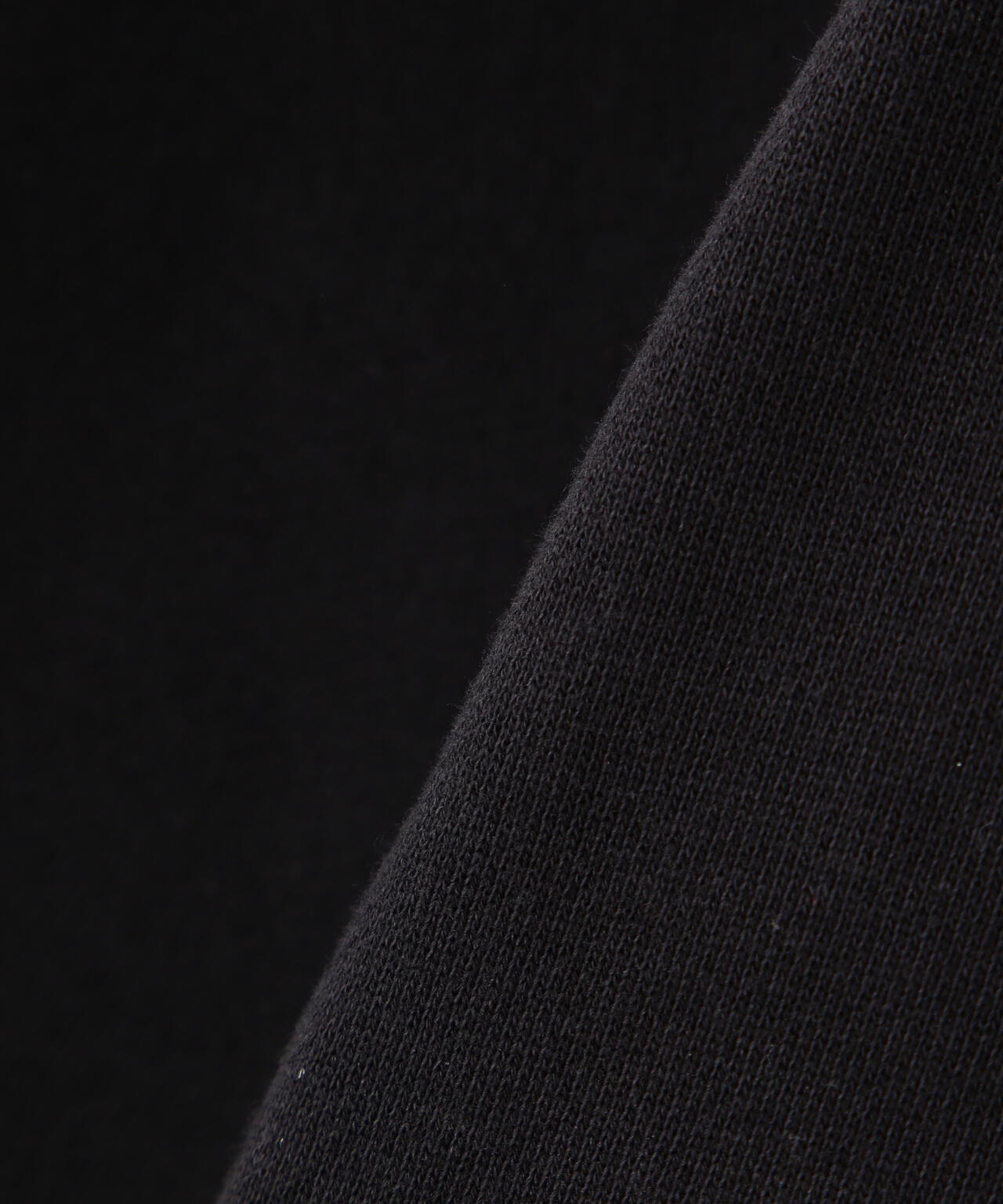 THE NORTH FACE /Rearview FullZip Hoodie NT12340