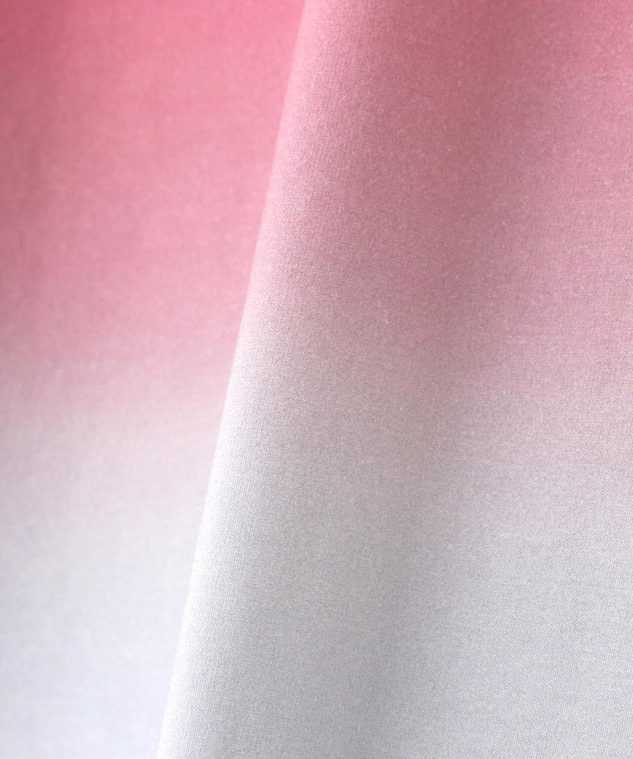 AULA AILA（アウラ アイラ）別注グラデーションTシャツ