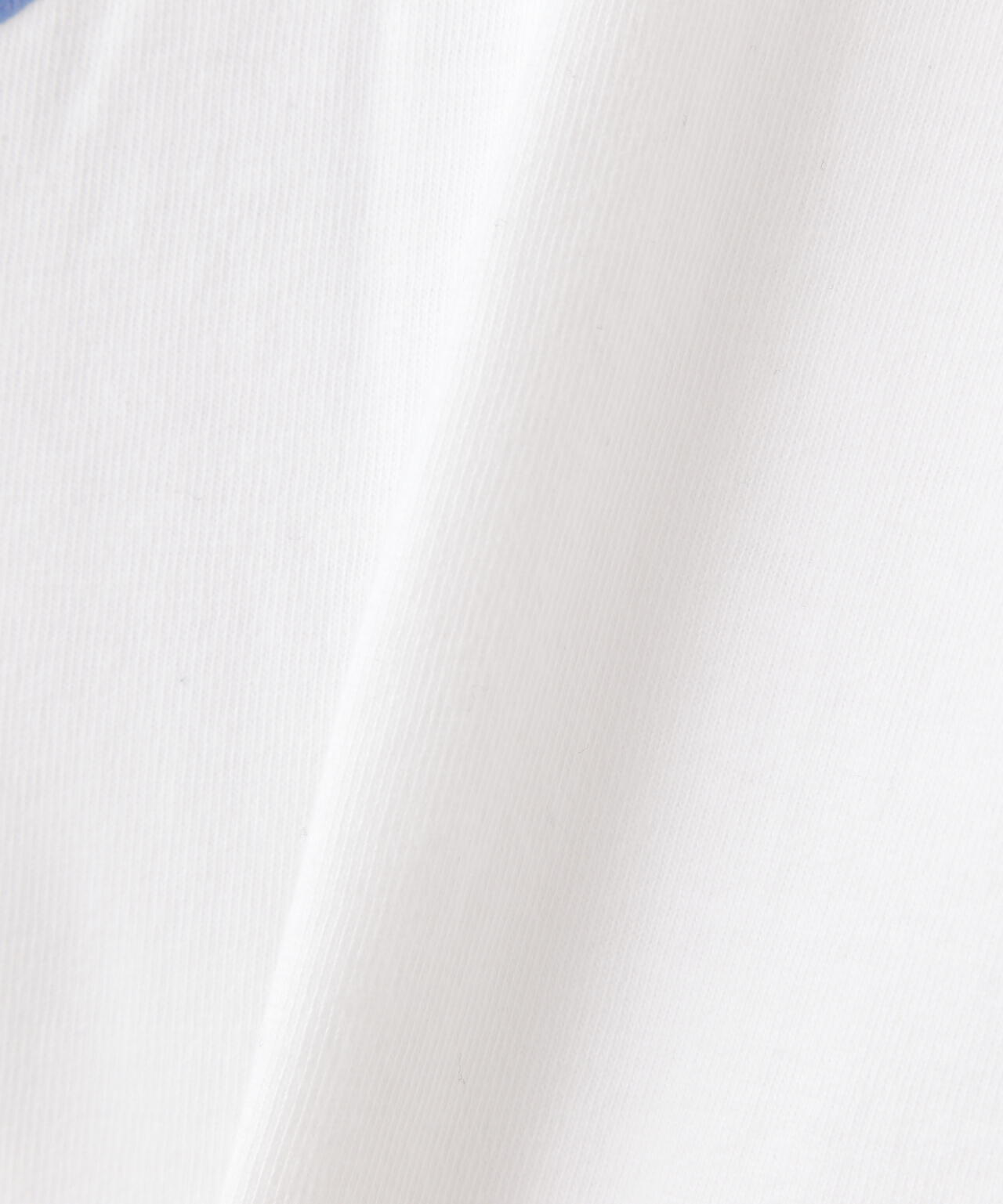 SURT（サート）THE ROLLING STONES TAN No2 Tee