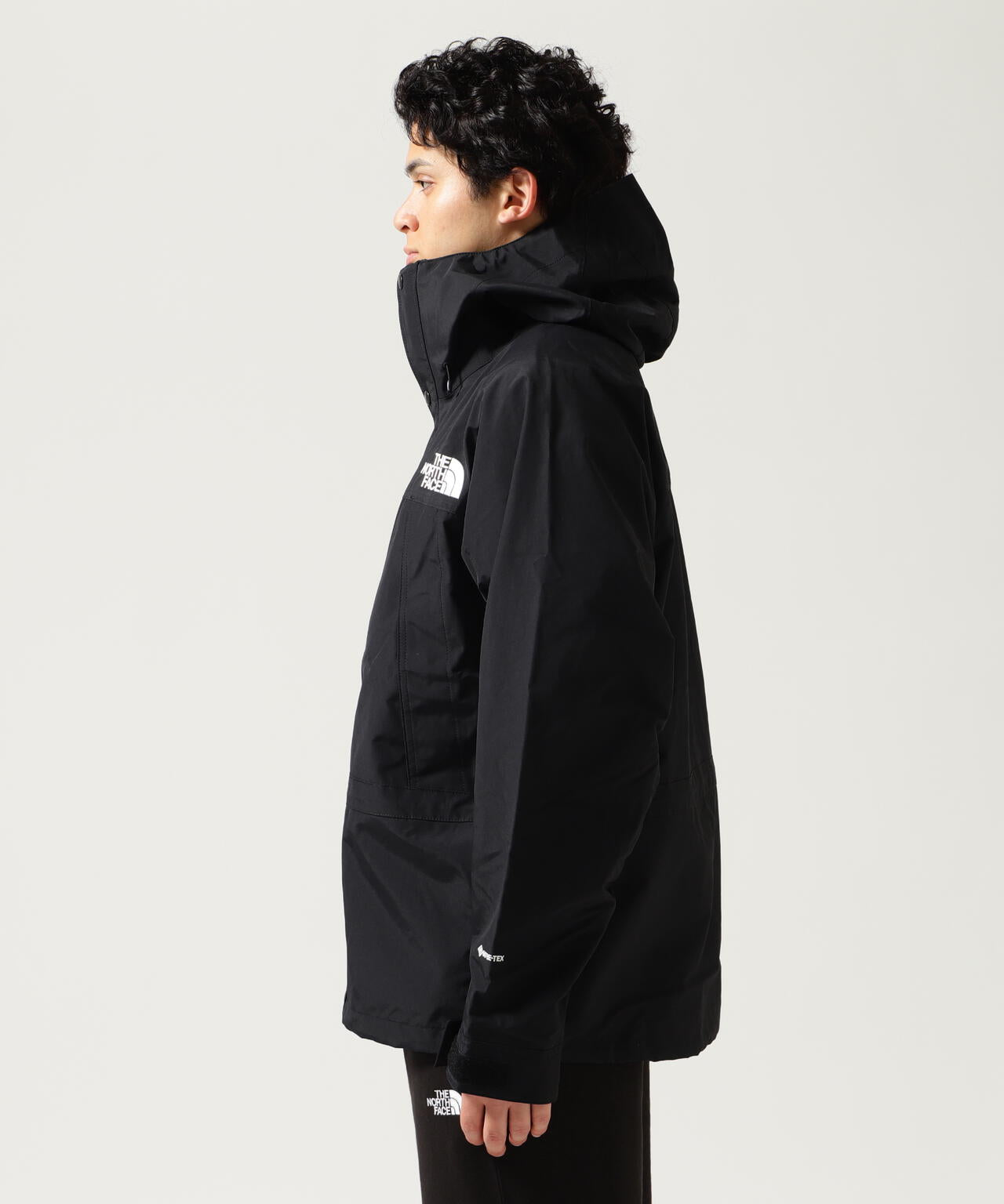 THE NORTH FACE / Mountain Light Jacket NP62450