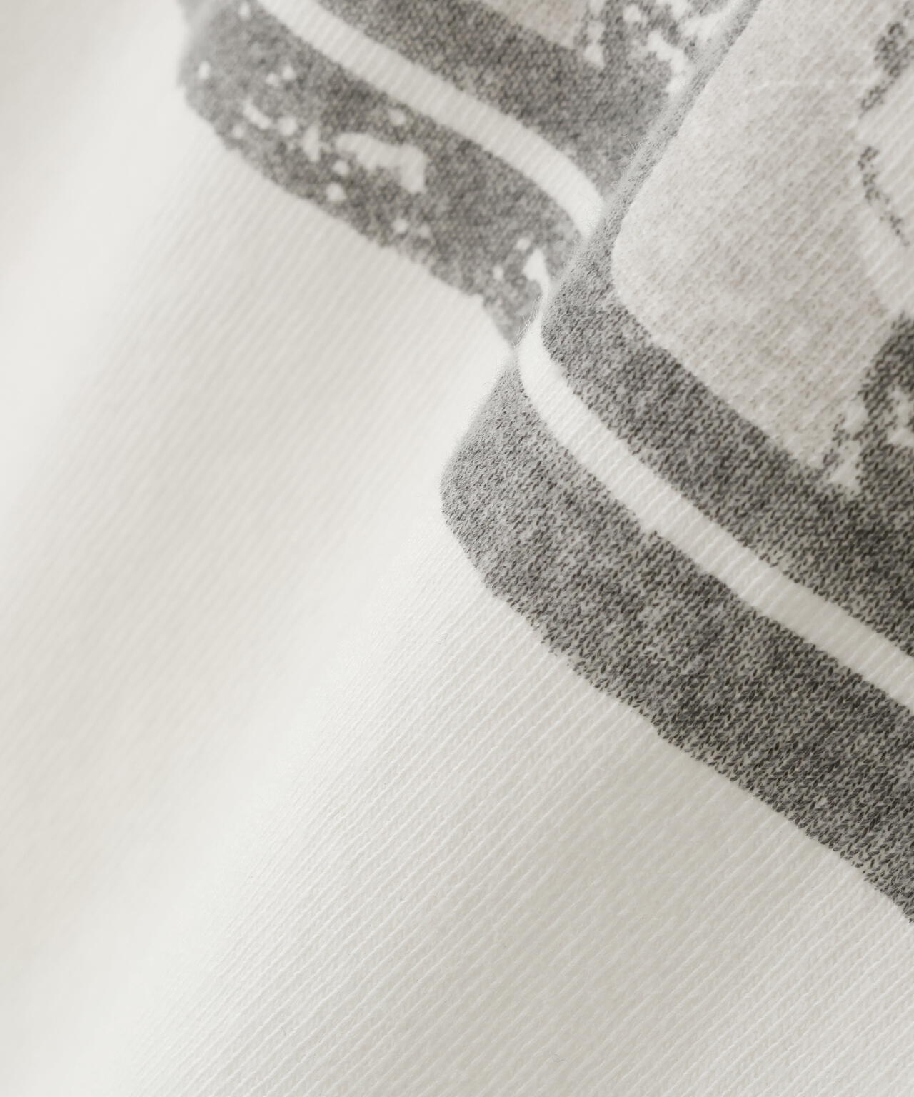 REMI RELIEF /  別注20/-天竺BIGサイズTシャツ（A HARD CAT'S)