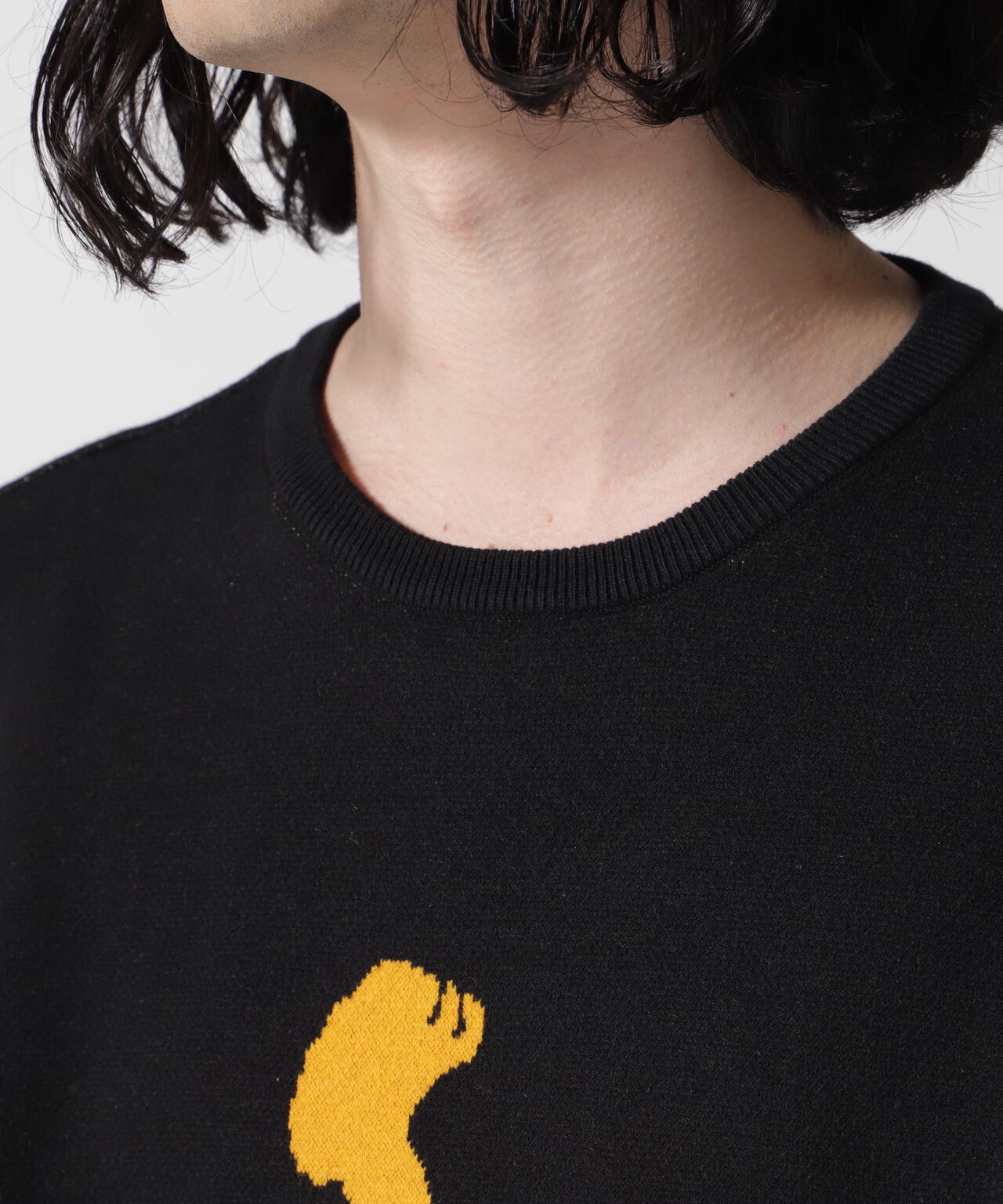 TAIN DOUBLE PUSH/タインダブルプッシュ/Exc. CREW KNIT