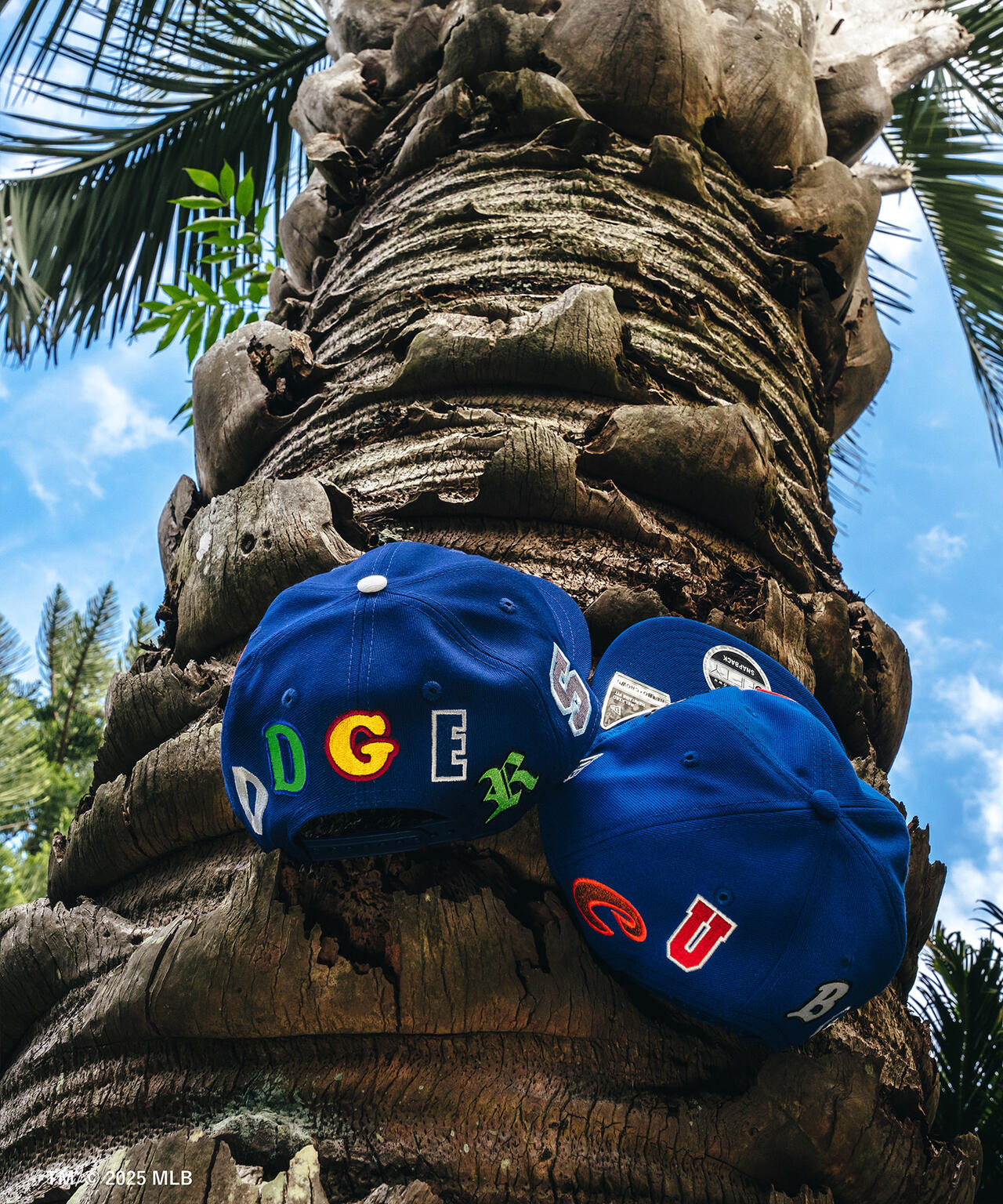 SAINT MICHAEL/セントマイケル/NE_CAP DODGERS BLUE