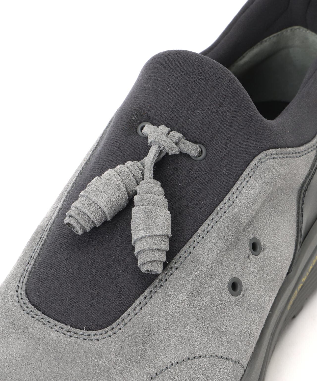 Hender Scheme/エンダースキーマ/species