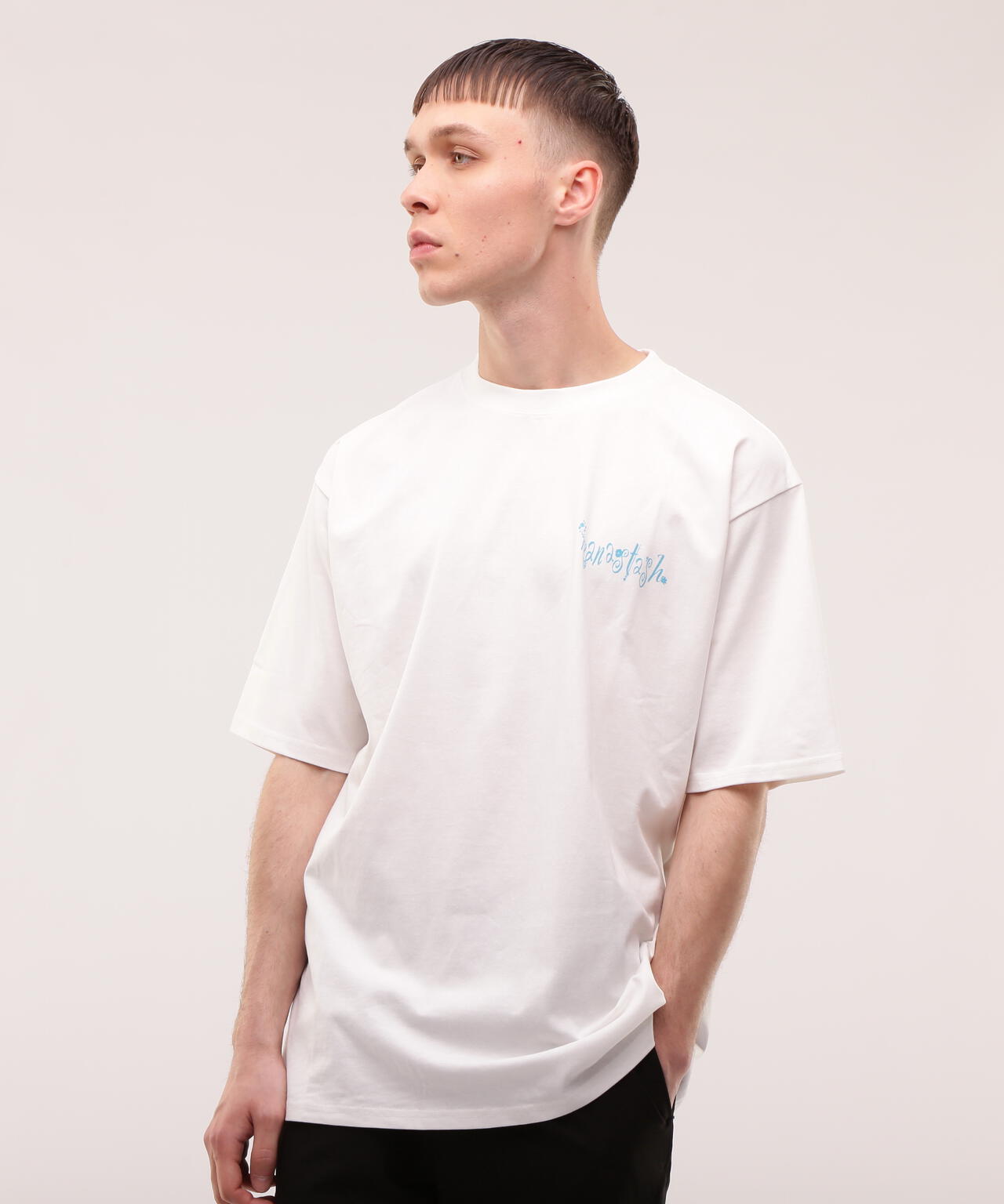 MANASTASH/マナスタッシュ/CiTee PLANTS Tシャツ