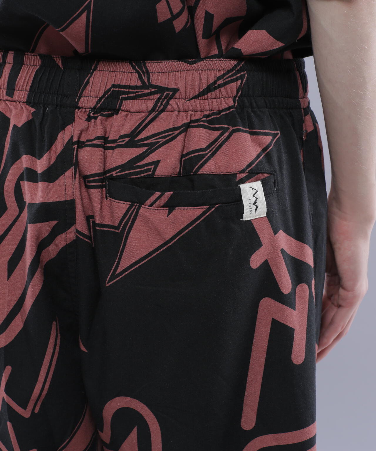 MANASTASH/マナスタッシュ/KATAKANA MANALOHA SHORTS