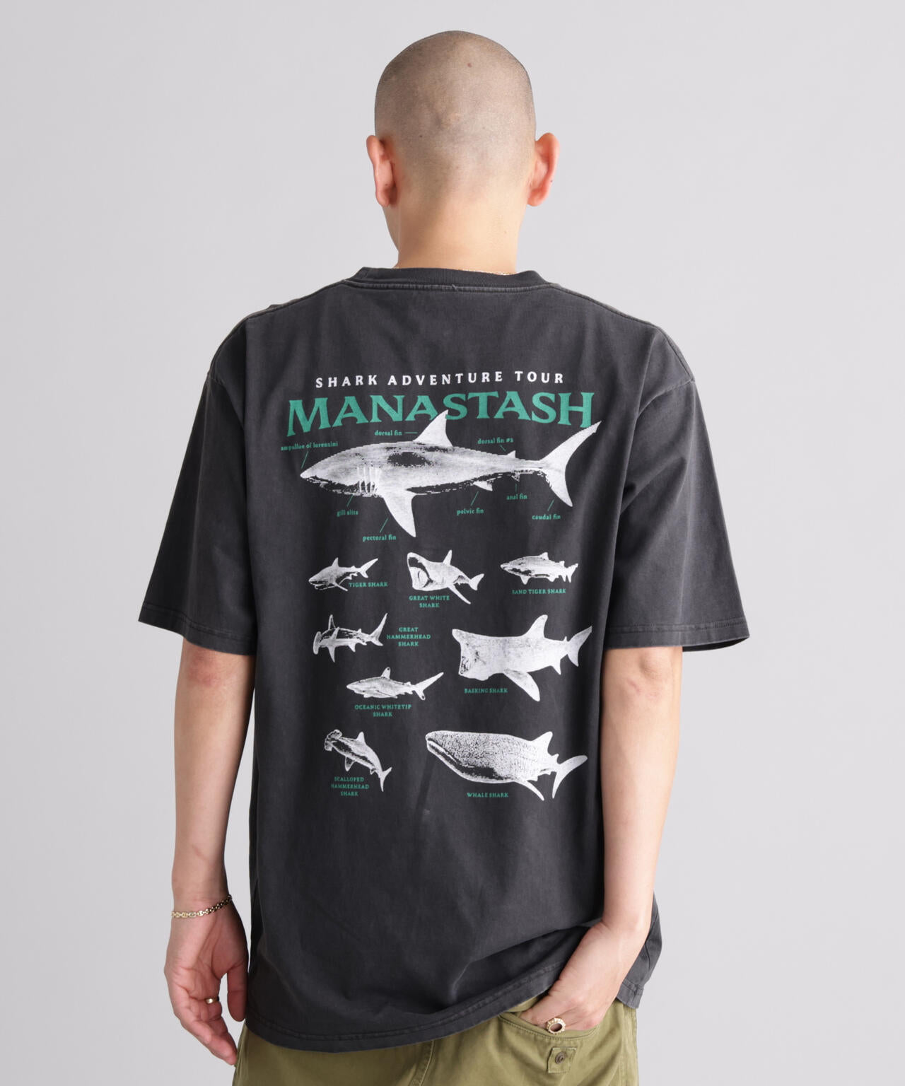 MANASTASH/マナスタッシュ/PUMICE TEE SHARK