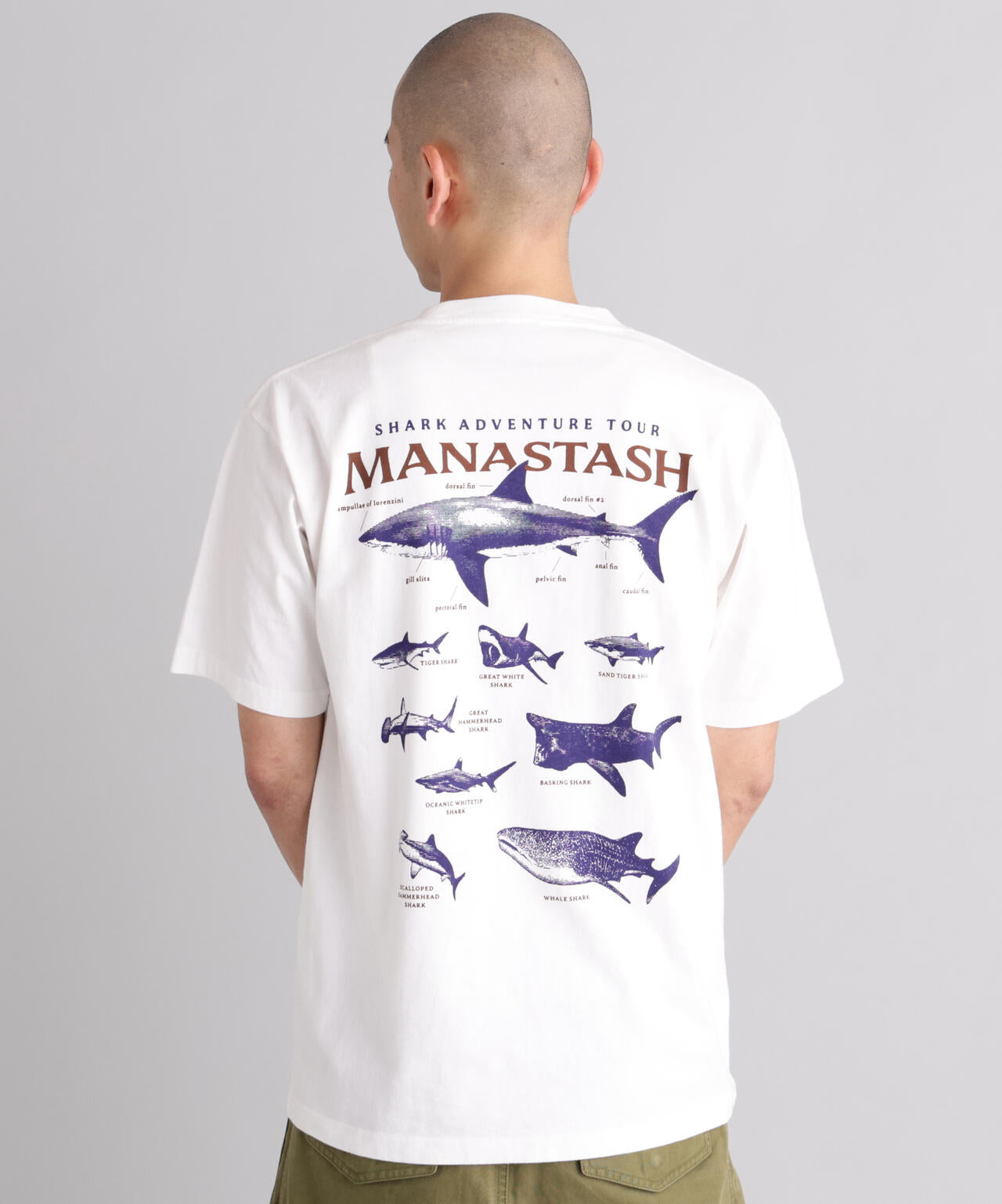 MANASTASH/マナスタッシュ/PUMICE TEE SHARK