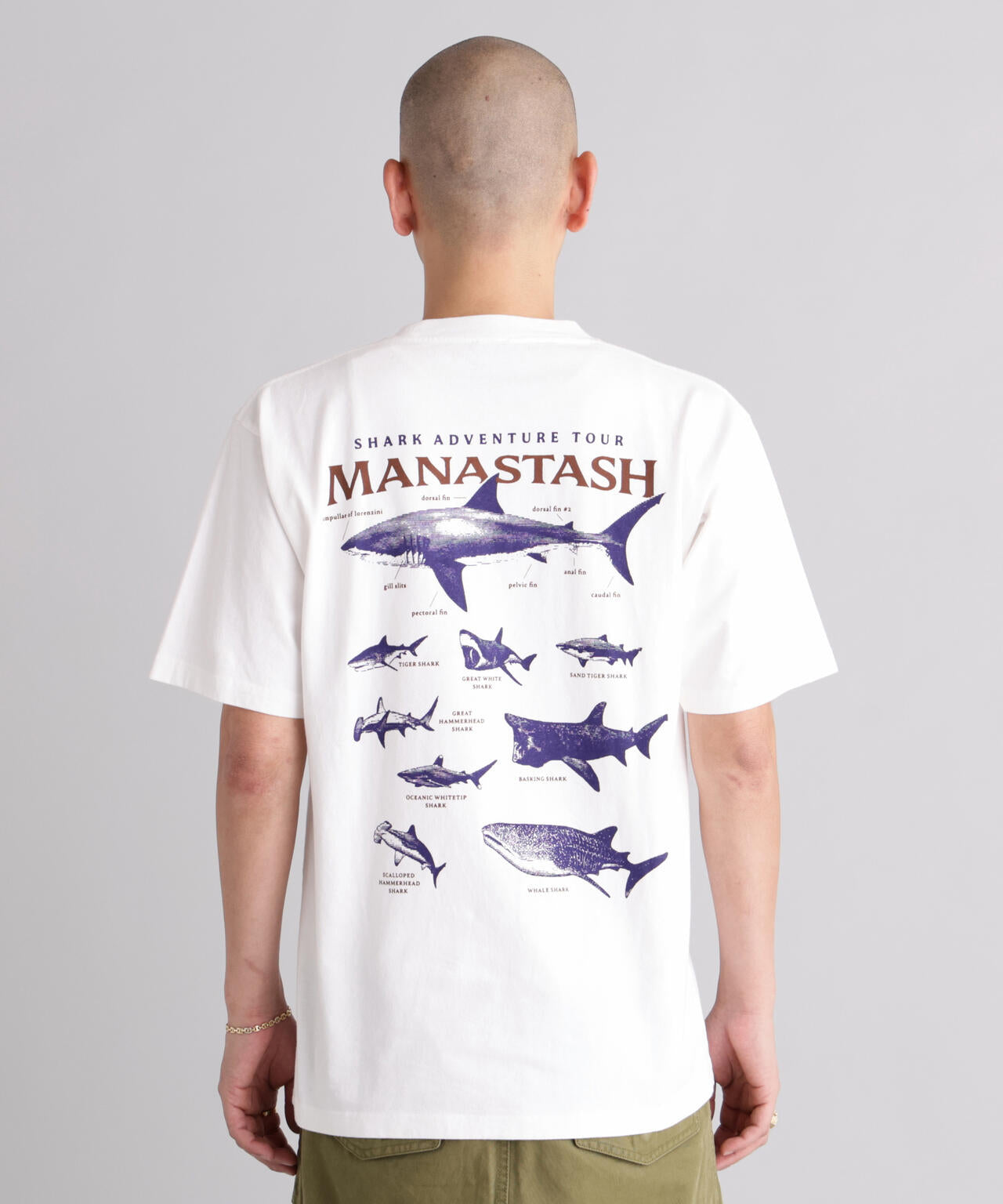 MANASTASH/マナスタッシュ/PUMICE TEE SHARK